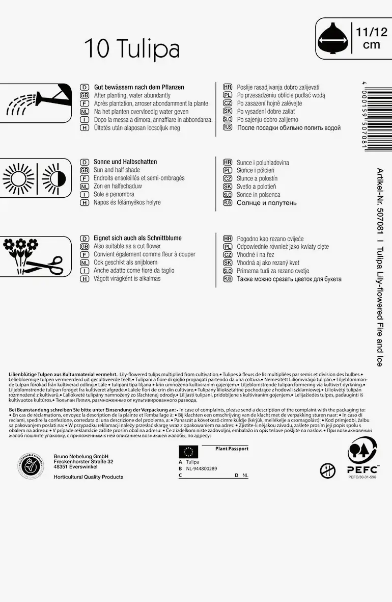 Tulpen Mix Fire and Ice Tulipa x Hybrida Tulpen Mix Fire and Ice Tulipa x Hybrida