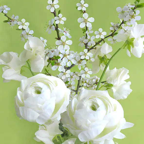 Braun & Company Servietten Motiv Green Spring 33 x 33 cm - 20er Pack