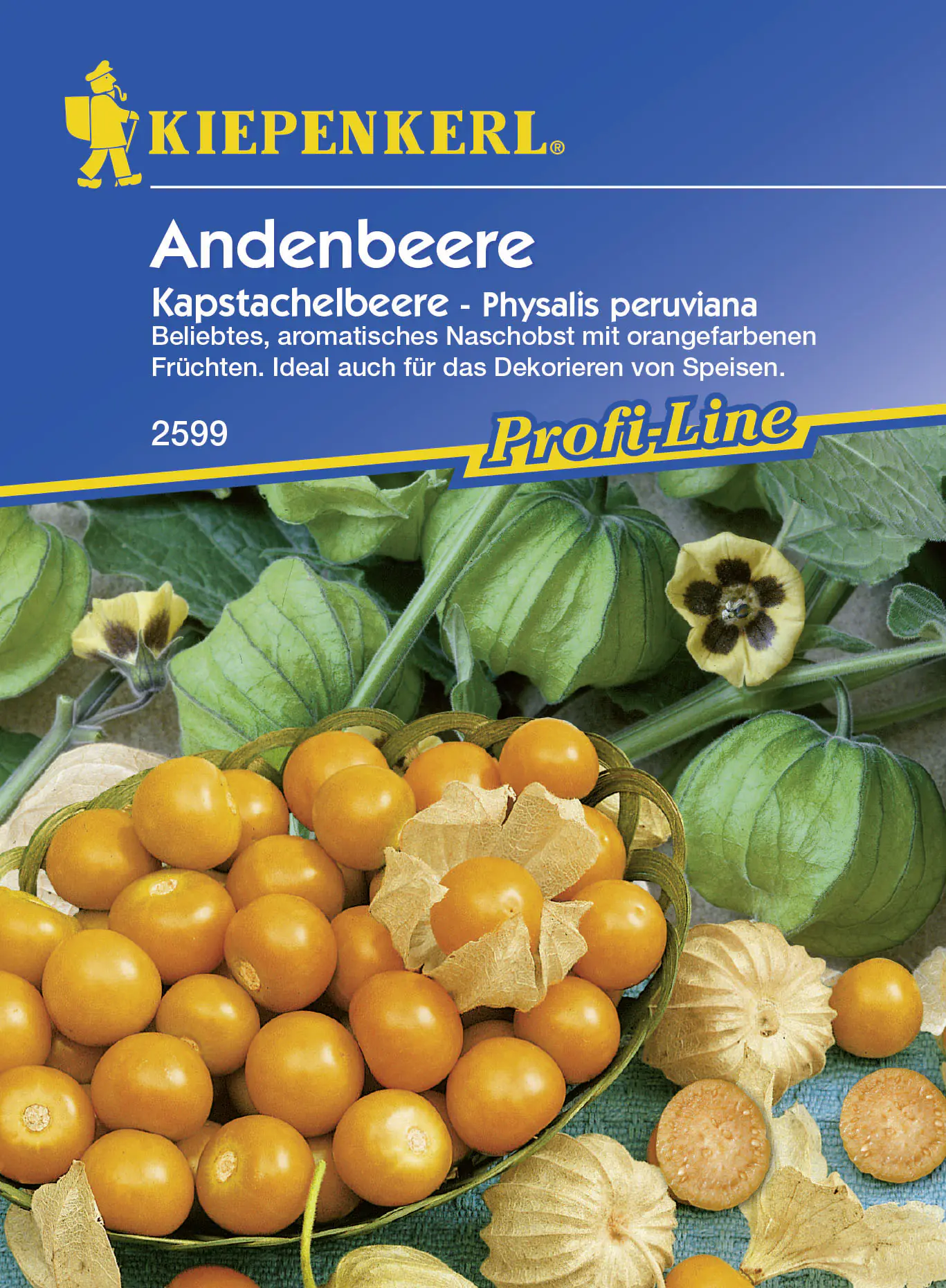 Kiepenkerl Andenbeere Kapstachelbeere Physalis peruviana, Inhalt: ca. 30 Pflanzen