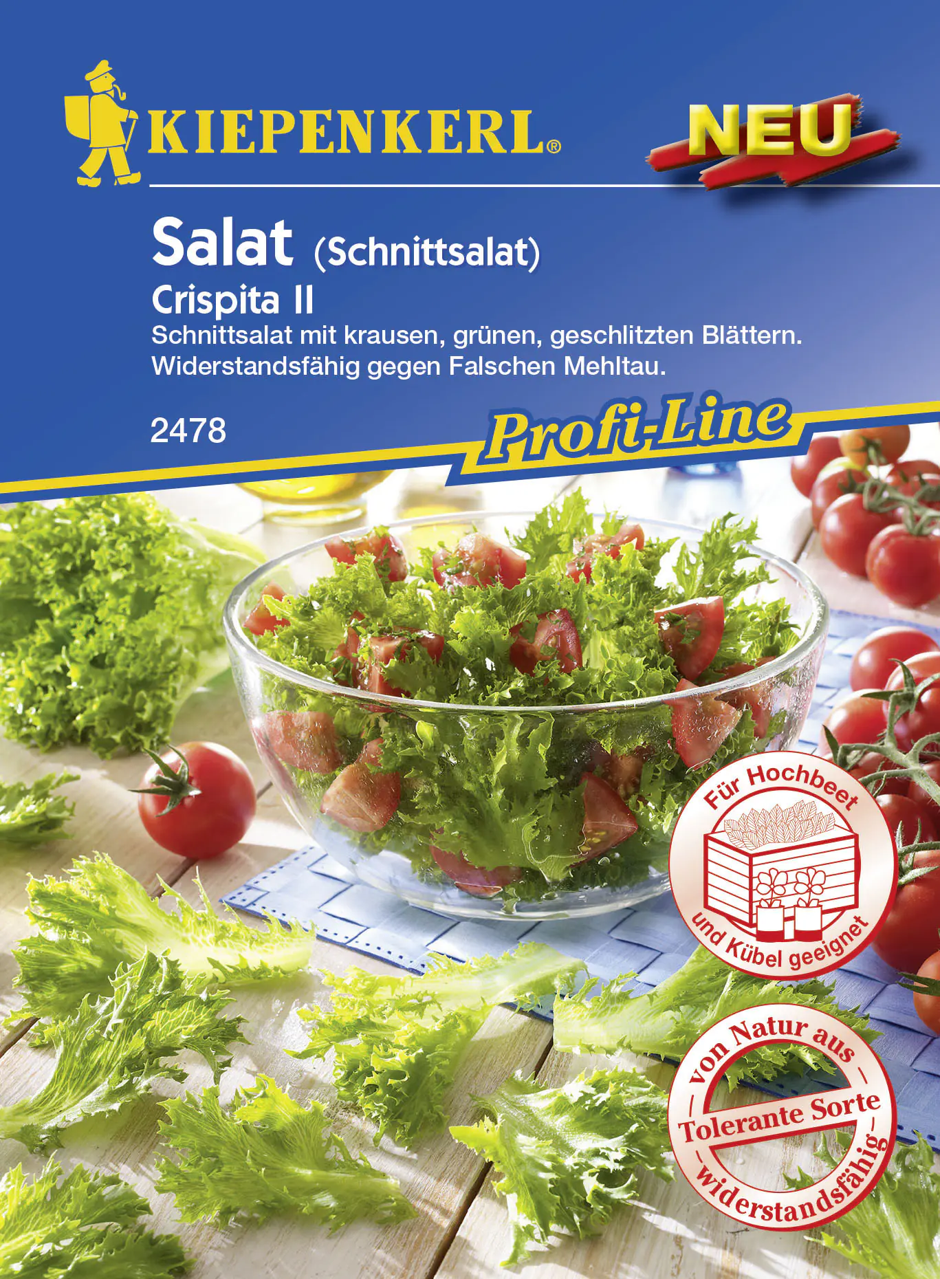 Kiepenkerl Profi-Line Schnittsalat Crispita II Lactuca sativa var.crispa, Inhalt: ca. 200 Pflanzen