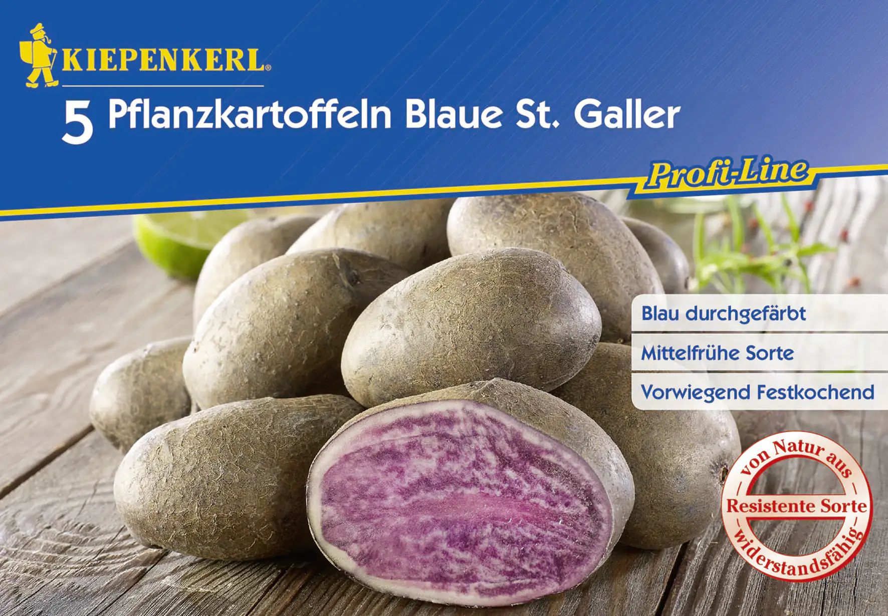 4000159612181 Kiepenkerl Pflanzkartoffel Blaue St. Galler 5 Stück