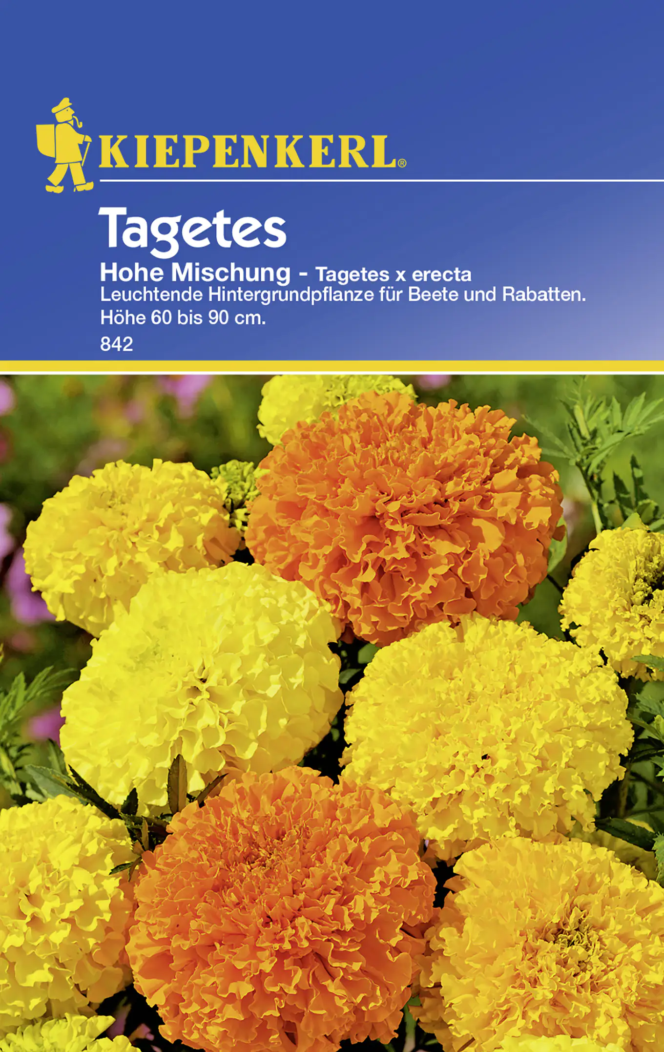 Kiepenkerl Studentenblume Hohe Mischung Tagetes erecta, Inhalt: ca. 40 Pflanzen