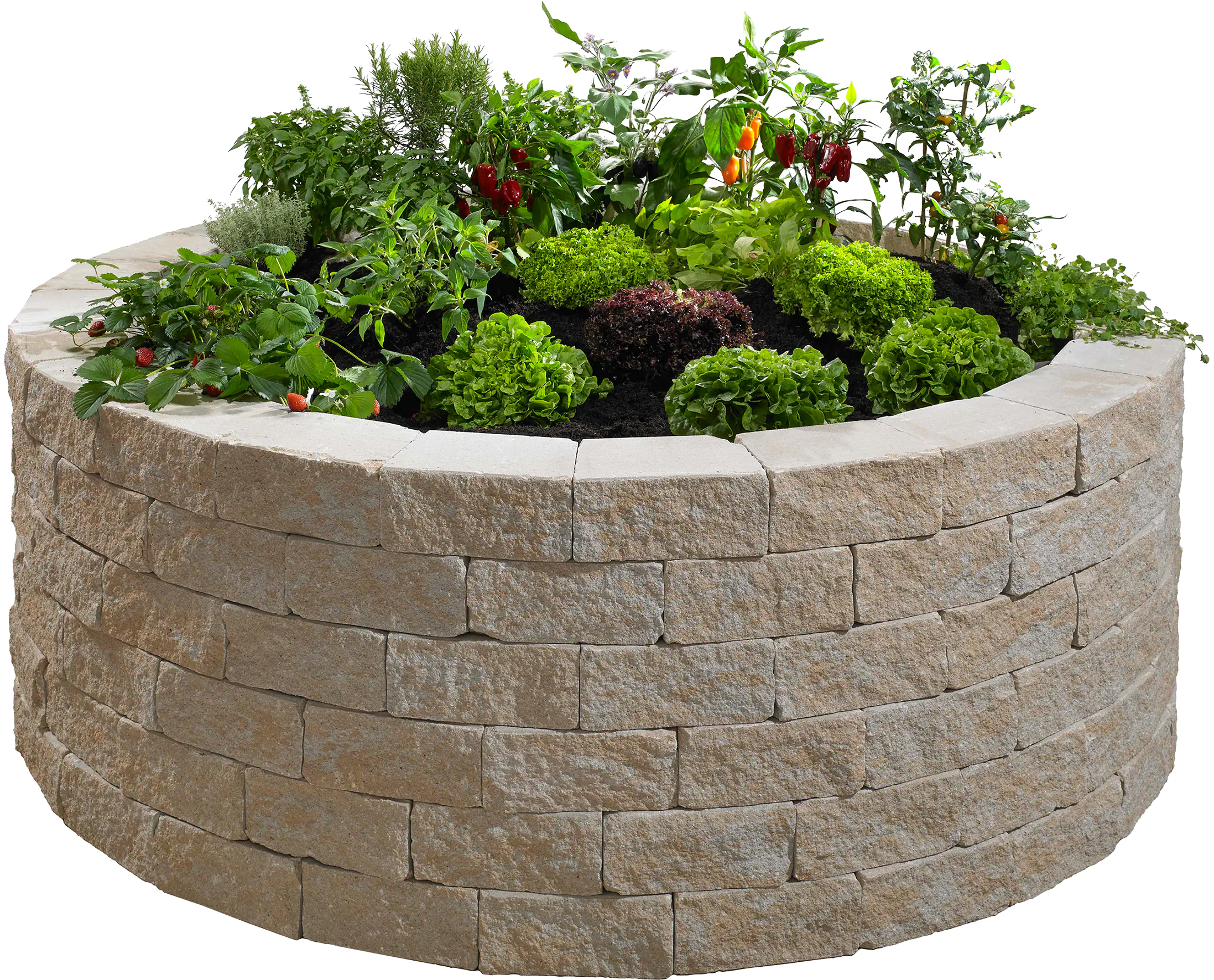 Kann Mauerstein Vigneto 24 x 18 x 12 cm sandsteingelb