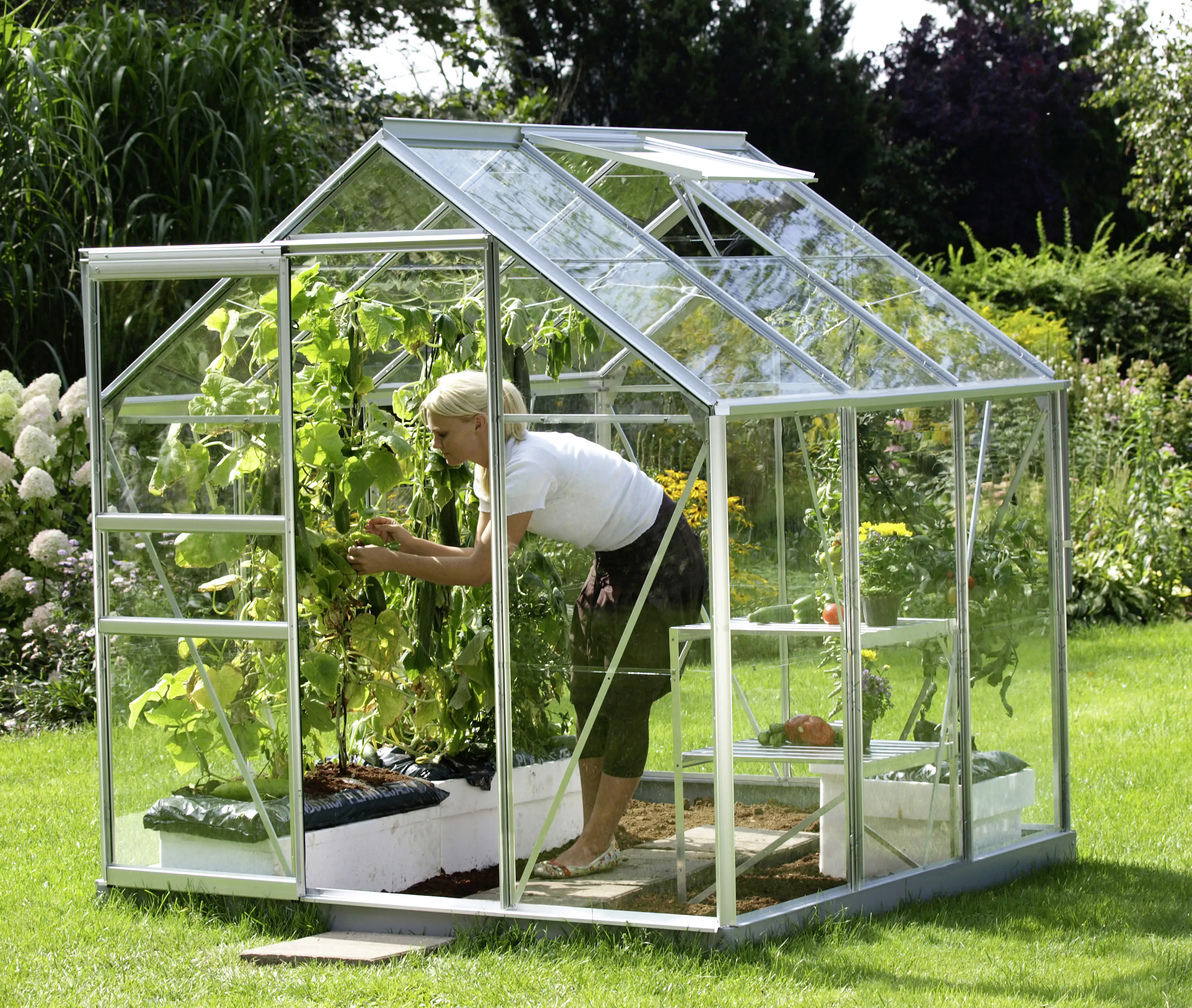 4005717053482_1189330 Vitavia Gewächshaus Venus 3800 192 x 192 cm 3 mm Sicherheitsglas