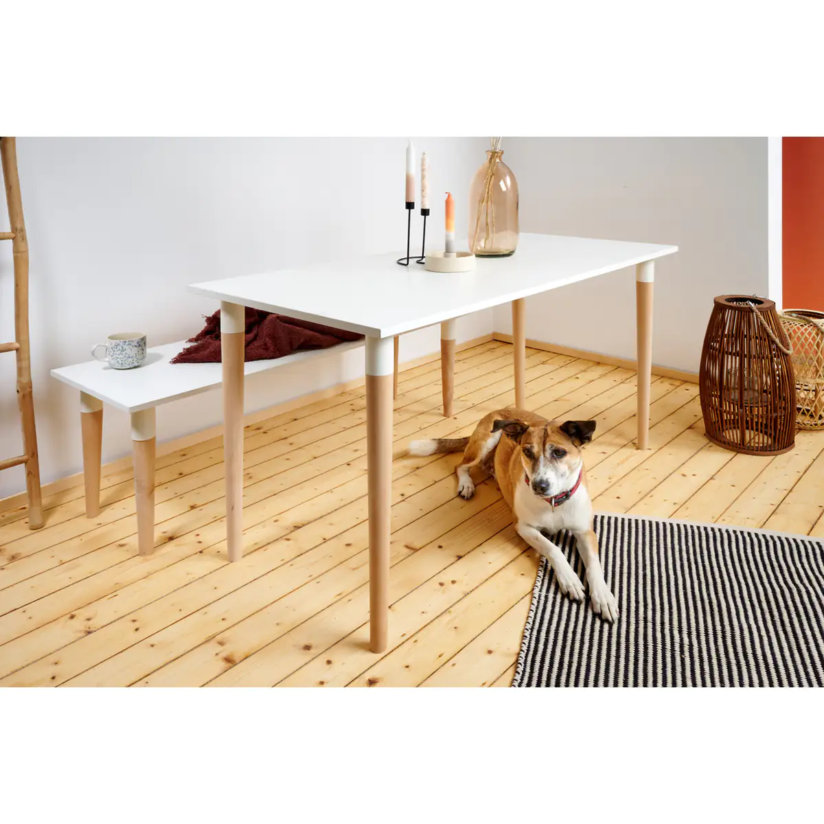 Hettich Möbelfuß 5,0 x 71 cm Buche/Stahl weiß - 1 Stück Hettich Möbelfuß 5,0 x 71 cm Buche/Stahl weiß - 1 Stück