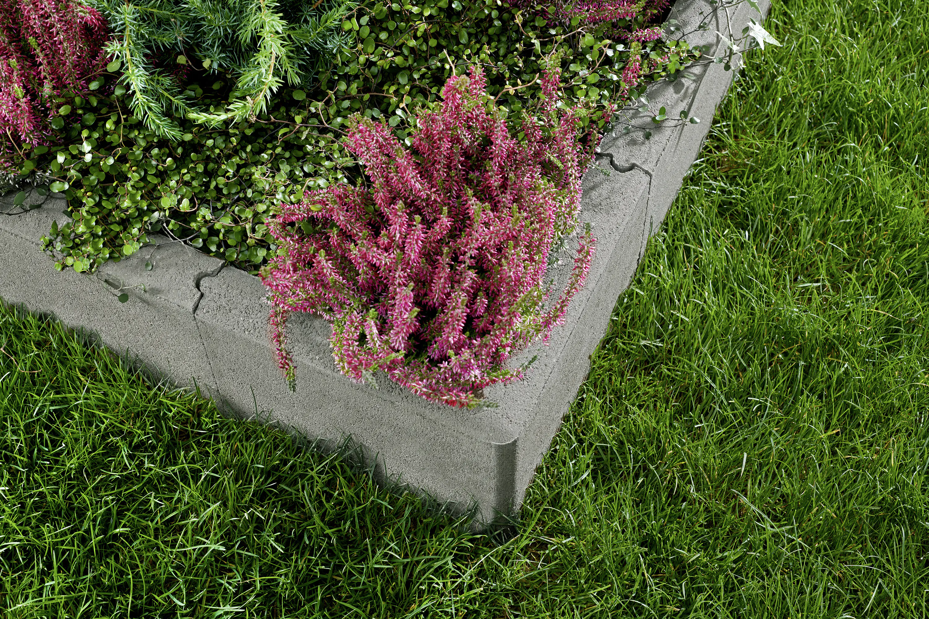 Kann Randstein Ecke mit Nut- und Feder 25 x 25 x 5 cm grau