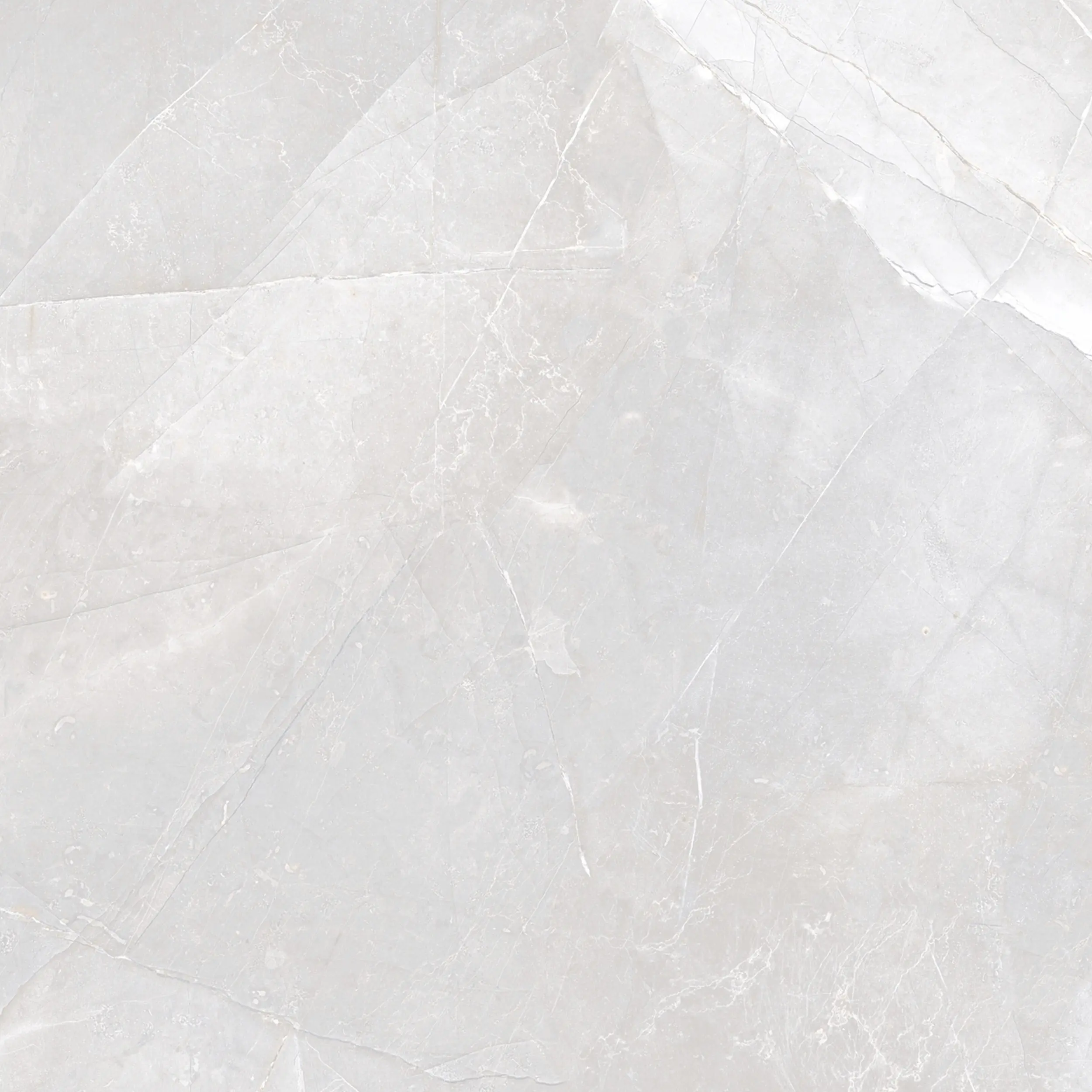 Bodenfliese Feinsteinzeug Armani Light 80 x 80 cm Grey