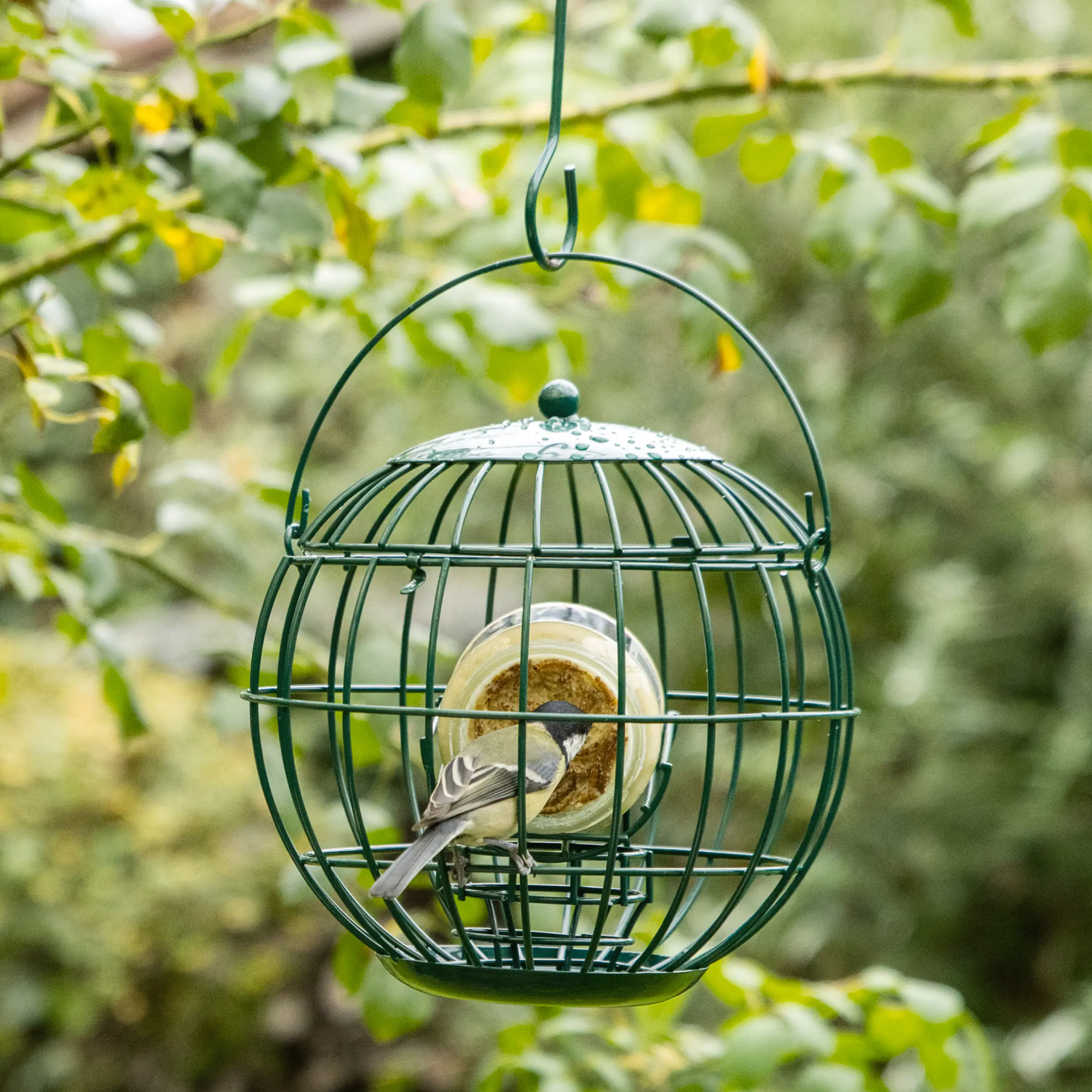 London Erdnussbutterglas Halter grün Ø 22 cm, Höhe 21 cm