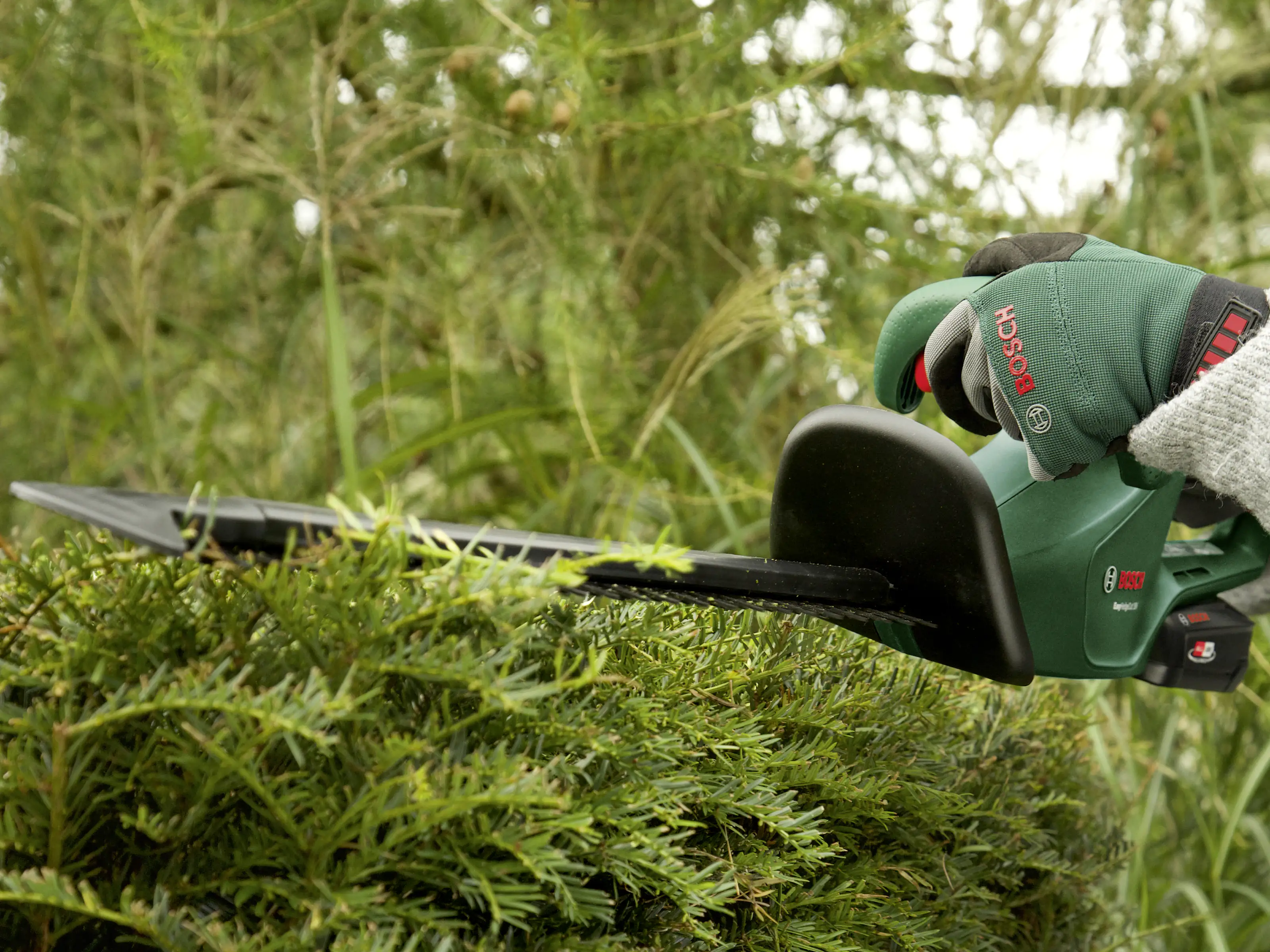 Bosch Akku-Heckenschere EasyHedgeCut 18-45 18V 2,0 Ah Solo Bosch Akku-Heckenschere EasyHedgeCut 18-45 18V 2,0 Ah Solo