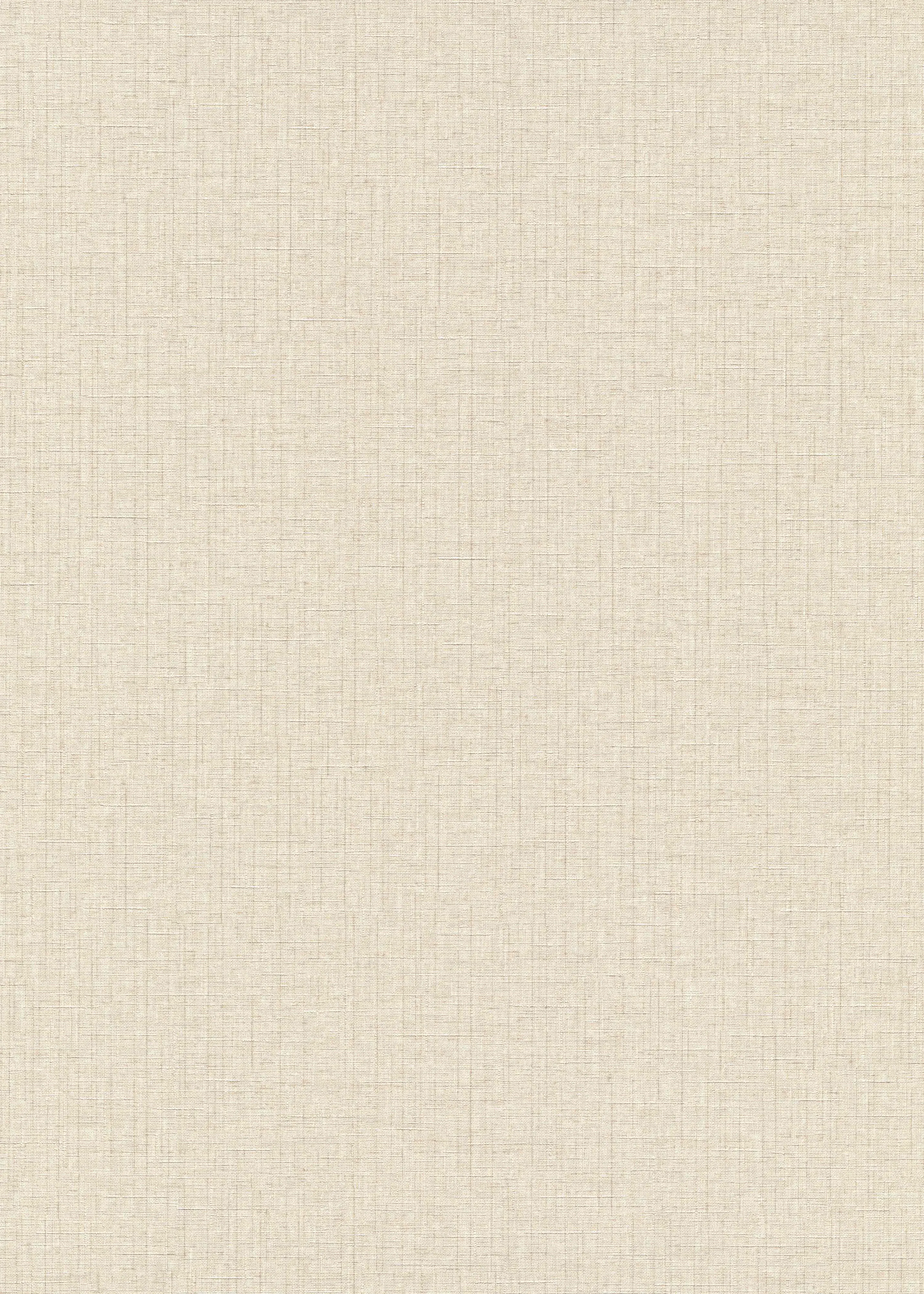 Erismann Vliestapete 10140-38 Paradiso 2 uni helltaupe 10,05 x 0,53 m