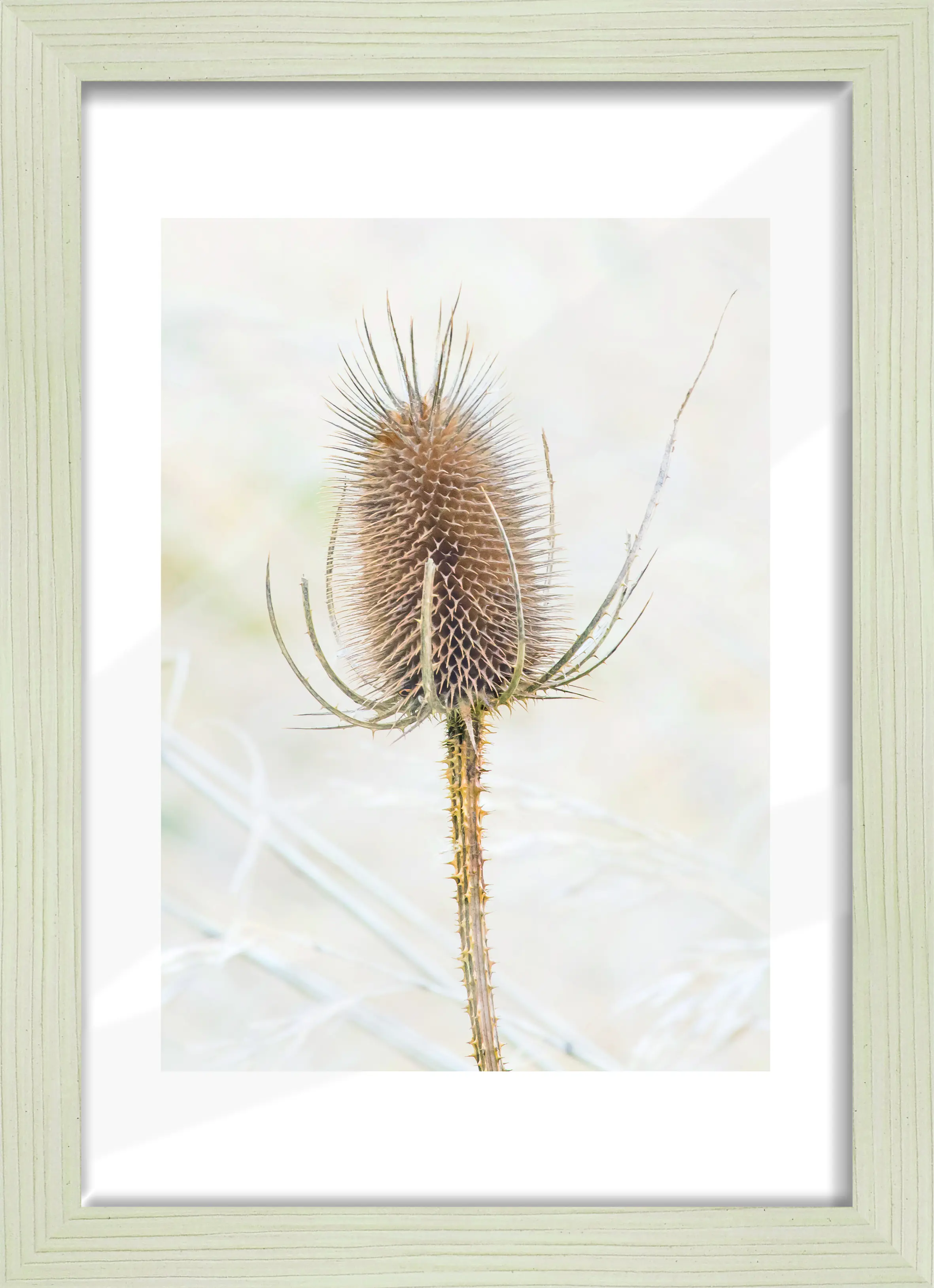 Bilderrahmen Holz Arosa eiche weiß 21 x 29,7 cm