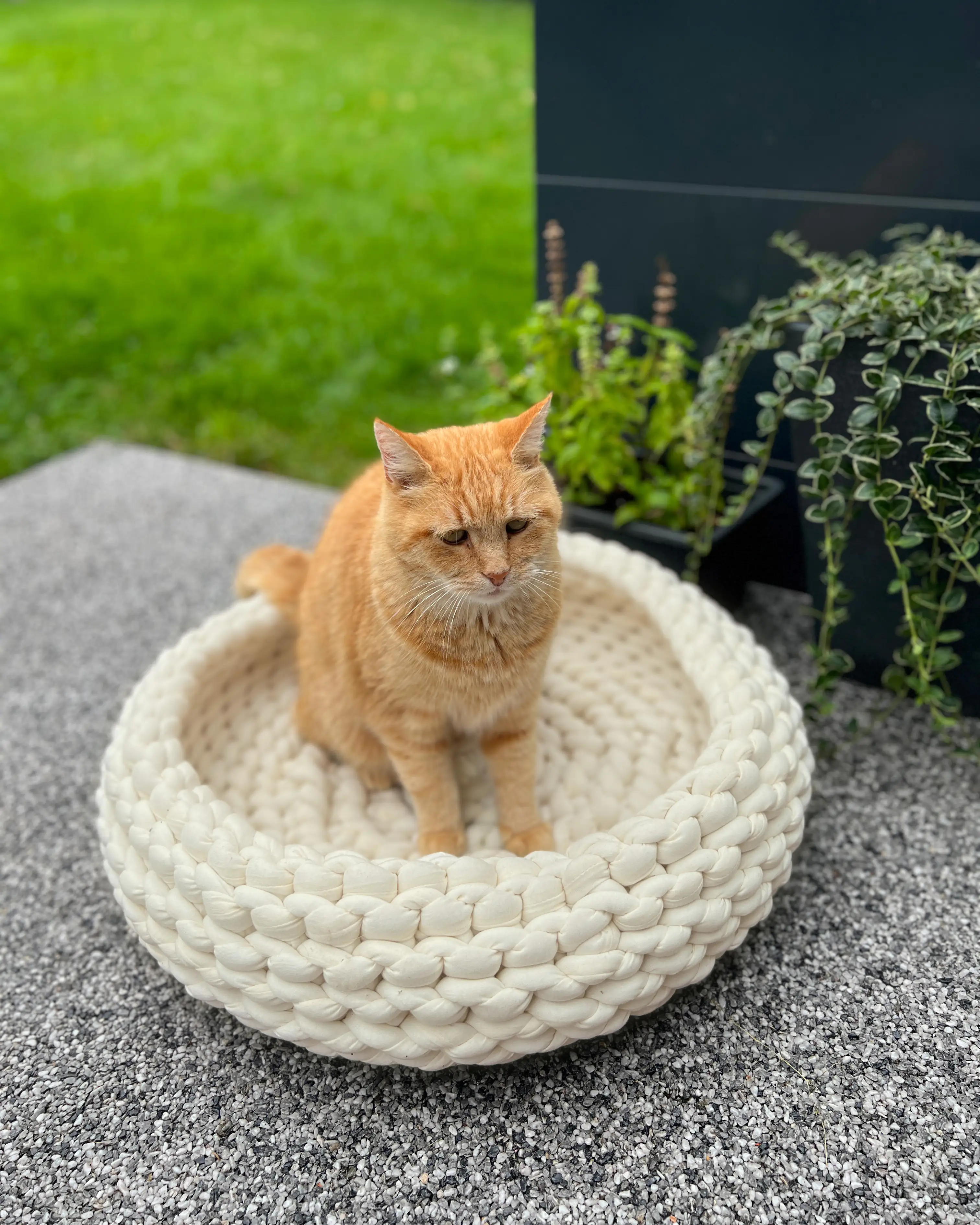 Katzenkorb Grobstrick geflochten 50 x 50 x 15 cm beige Katzenkorb Grobstrick geflochten 50 x 50 x 15 cm beige