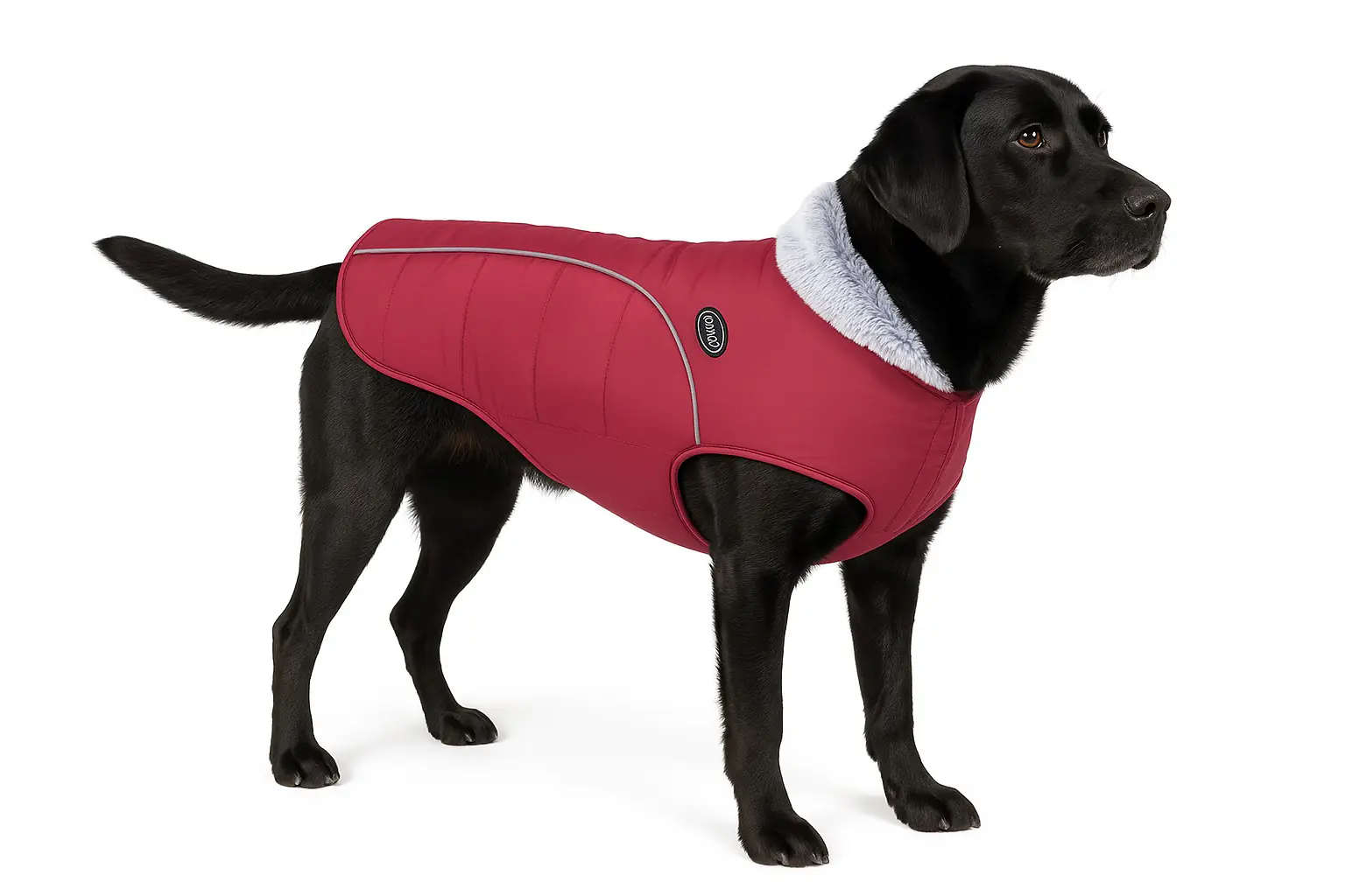 Nobby Hundemantel Alva rot