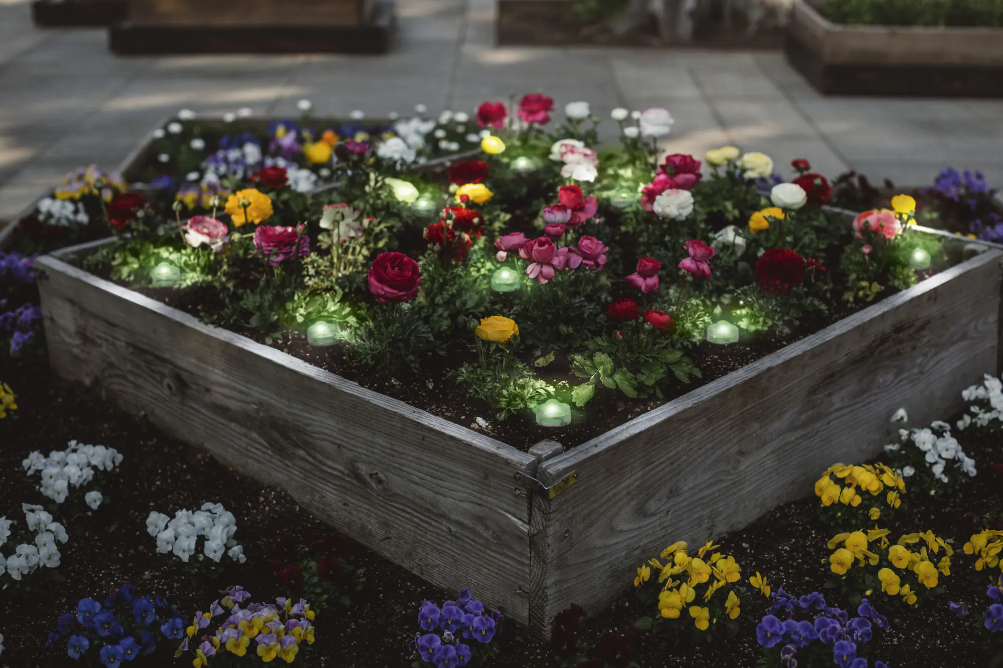 Ledvance LED Außenleuchte Smart+ WiFi Garden Dot klar 18 Dots 9m Ledvance LED Außenleuchte Smart+ WiFi Garden Dot klar 18 Dots 9m