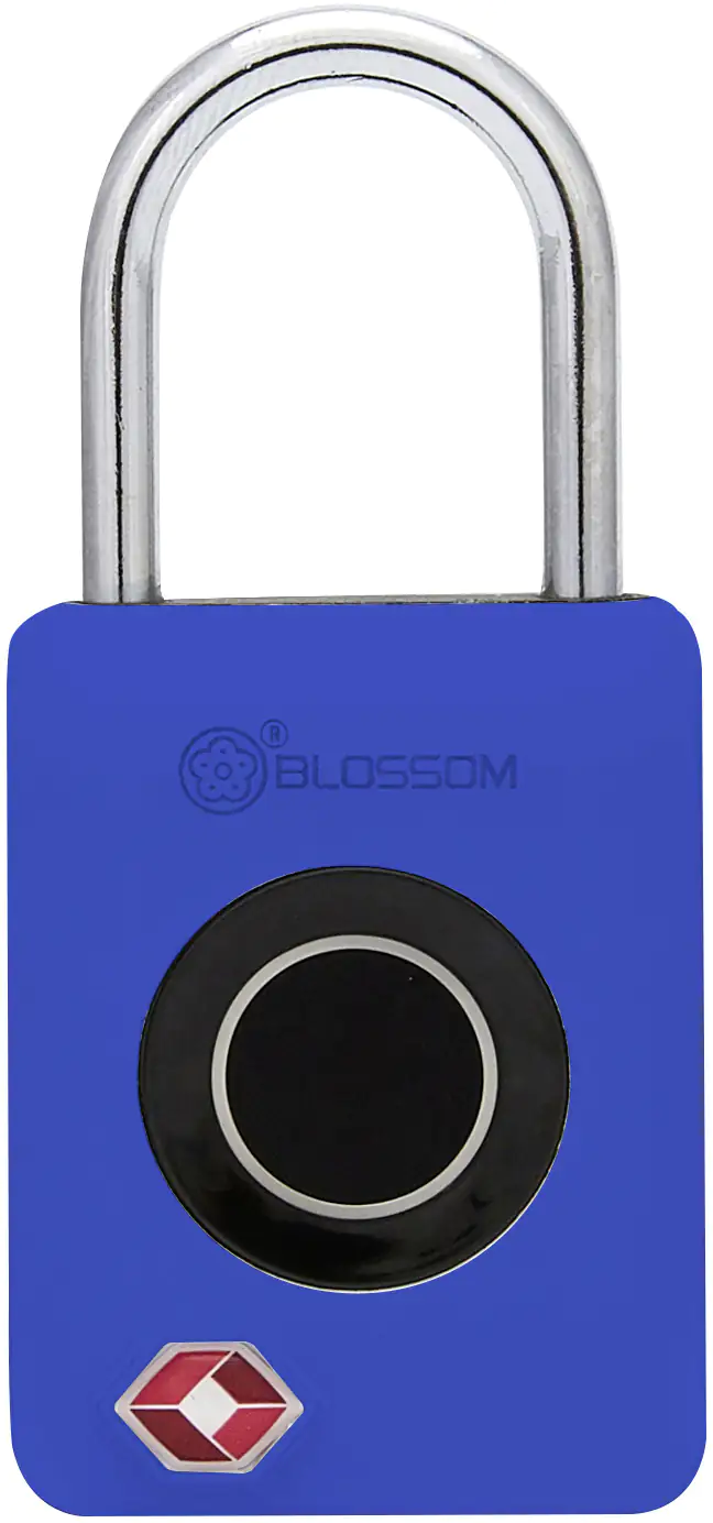 Südmetall Vorhängeschloss mit Fingerabdruck-Scan 30 x 18 mm