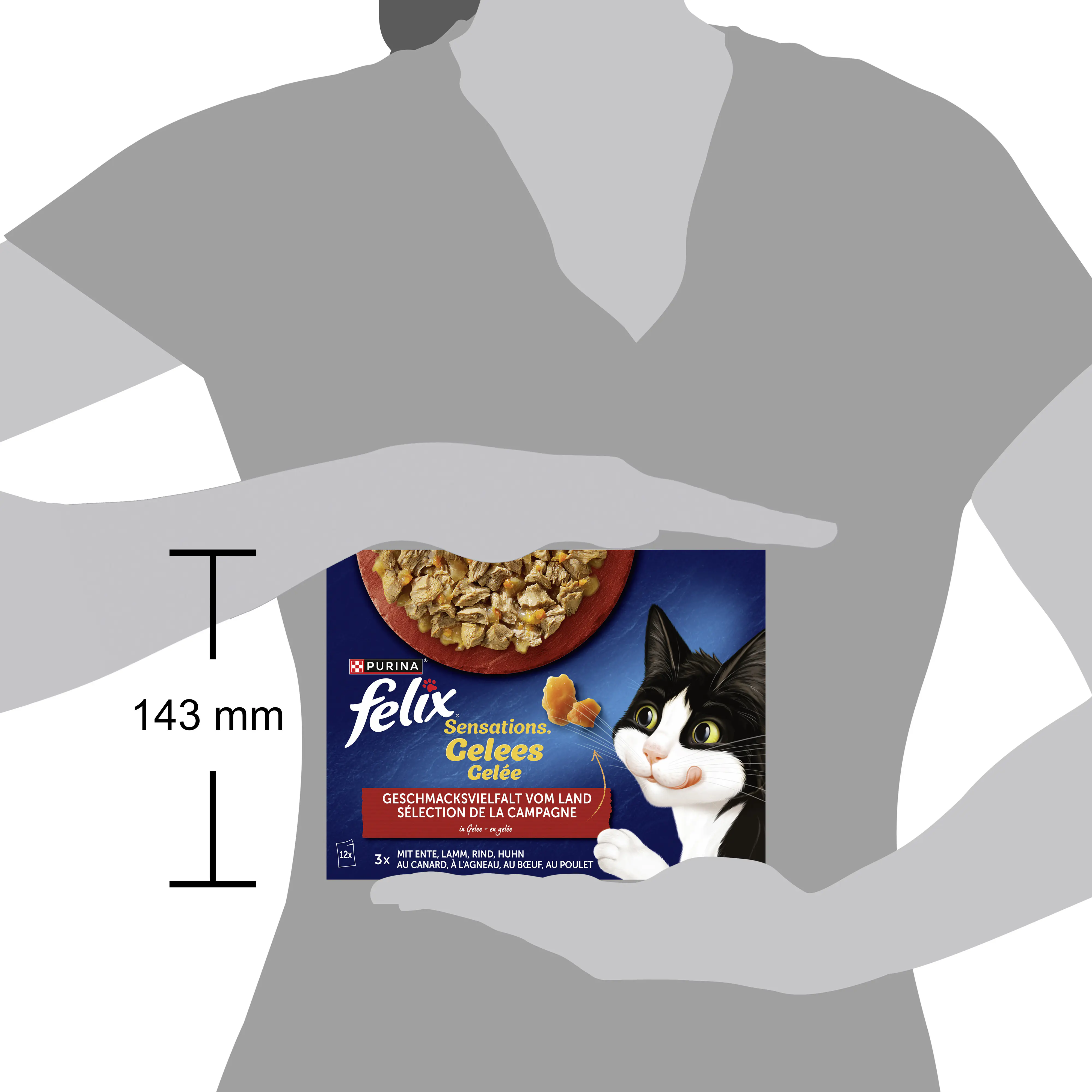 Felix Sensations Gelee Geschmacksvielfalt vom Land Katzenfutter 12 x 85g Felix Sensations Gelee Geschmacksvielfalt vom Land Katzenfutter 12 x 85g