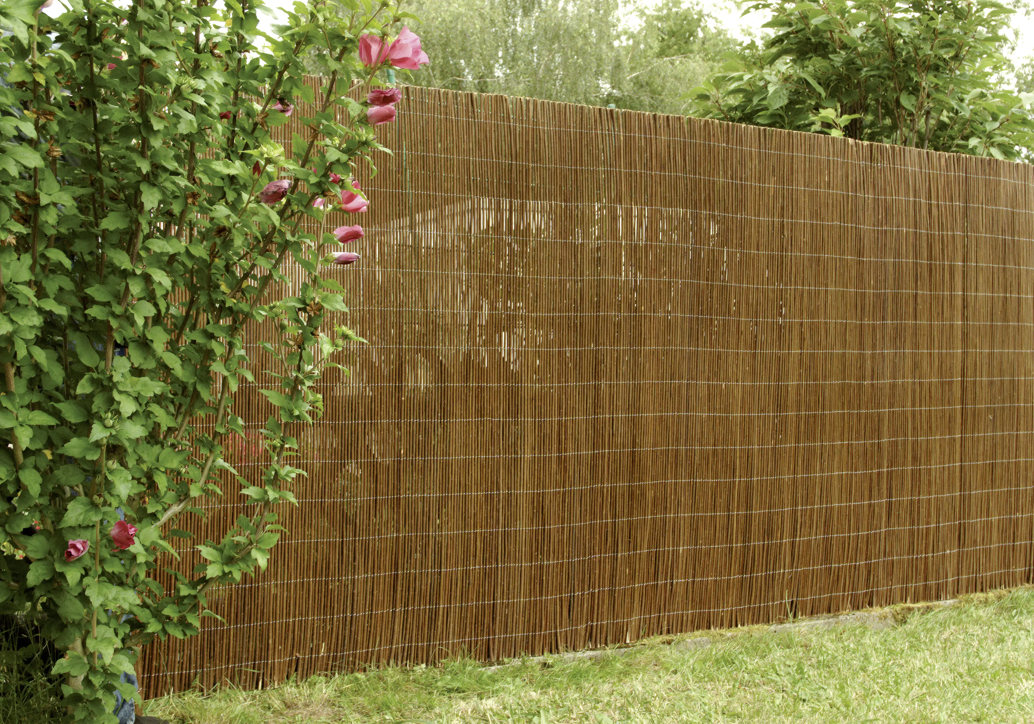 Floraworld Sichtschutz Weide 3 x 1,8 m