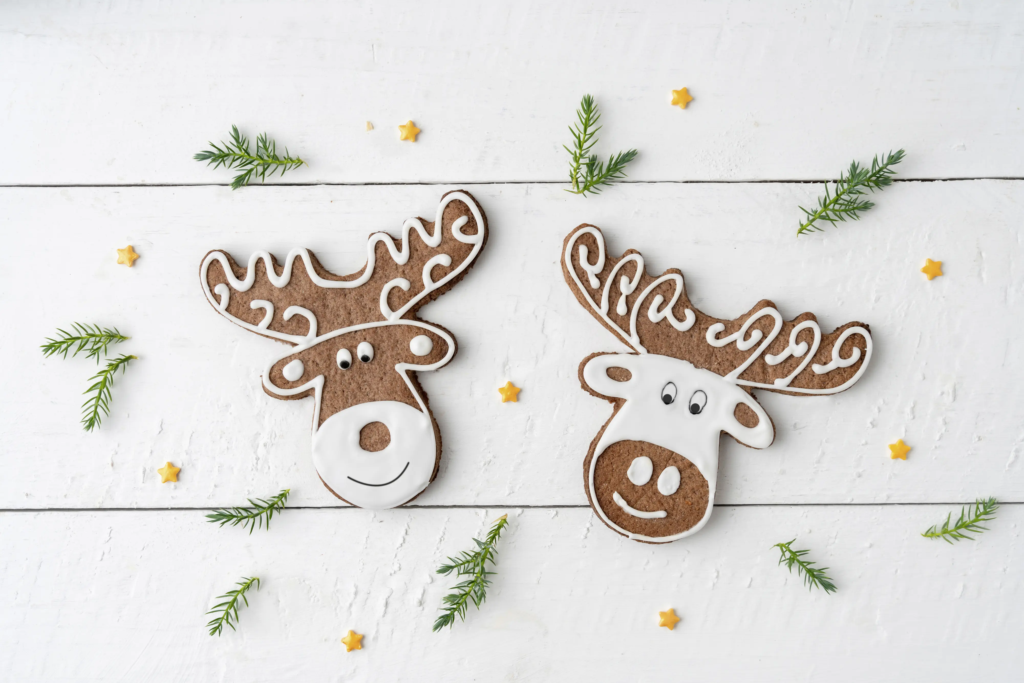 Zenker Ausstecher XXL Elchkopf