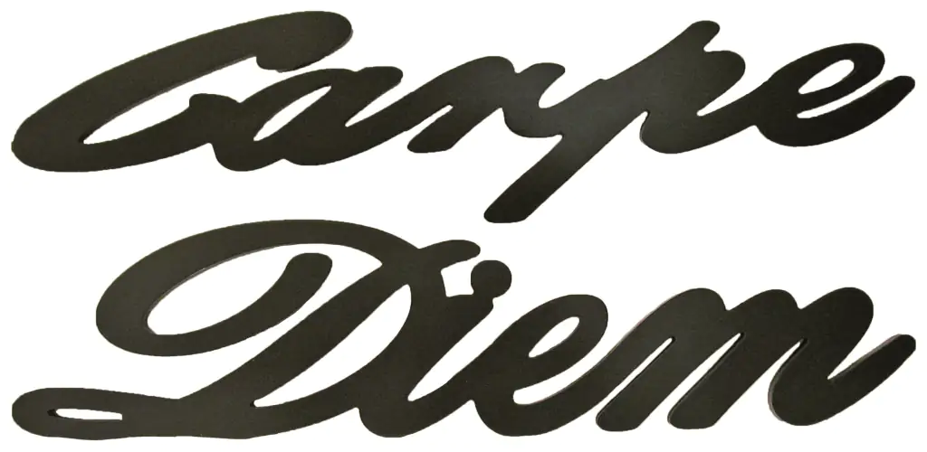 Schriftzug XL Carpe Diem schwarz 76 x 29 cm