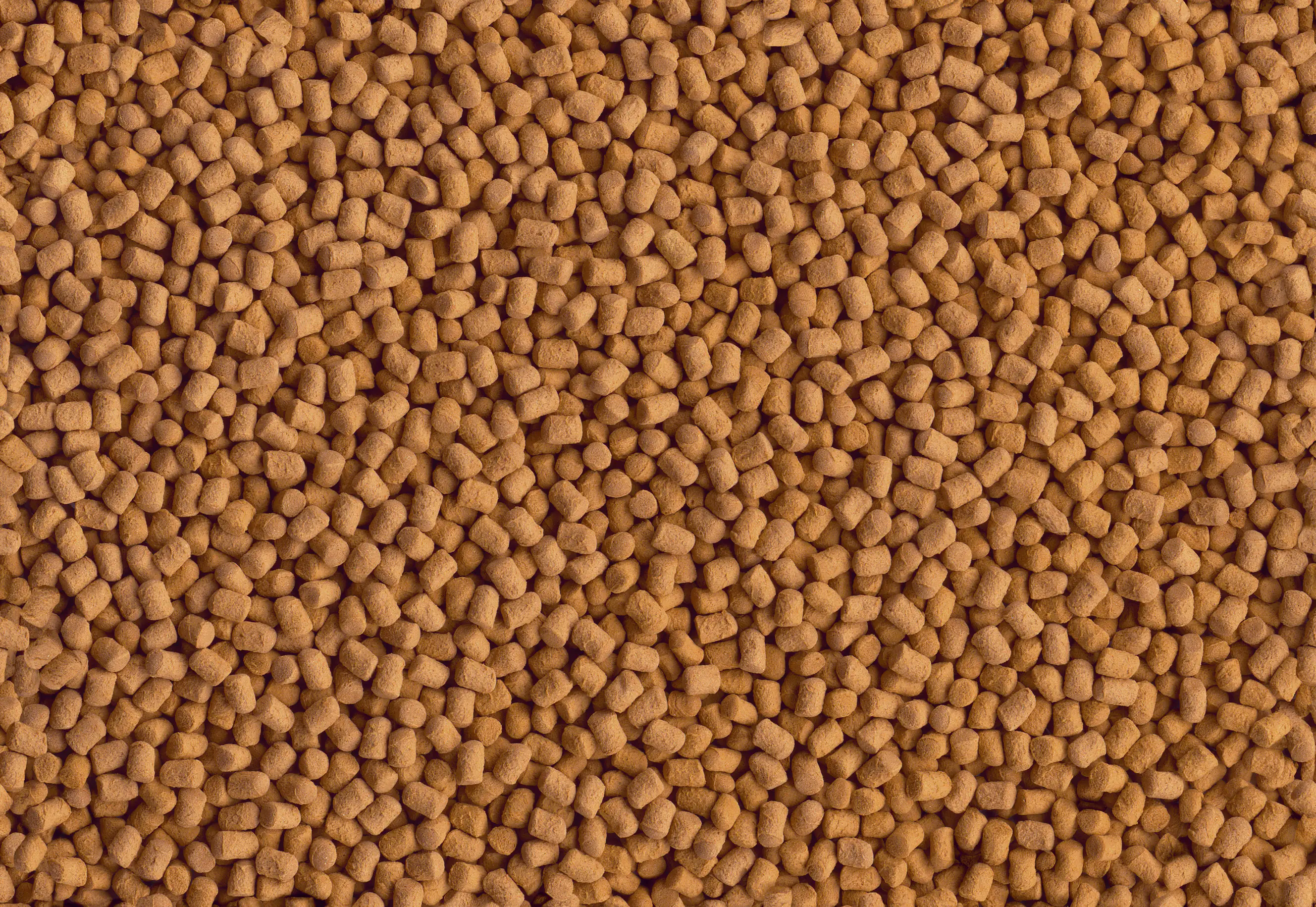 Tetra Cichlid ShrimpSticks 250 ml Tetra Cichlid ShrimpSticks 250 ml