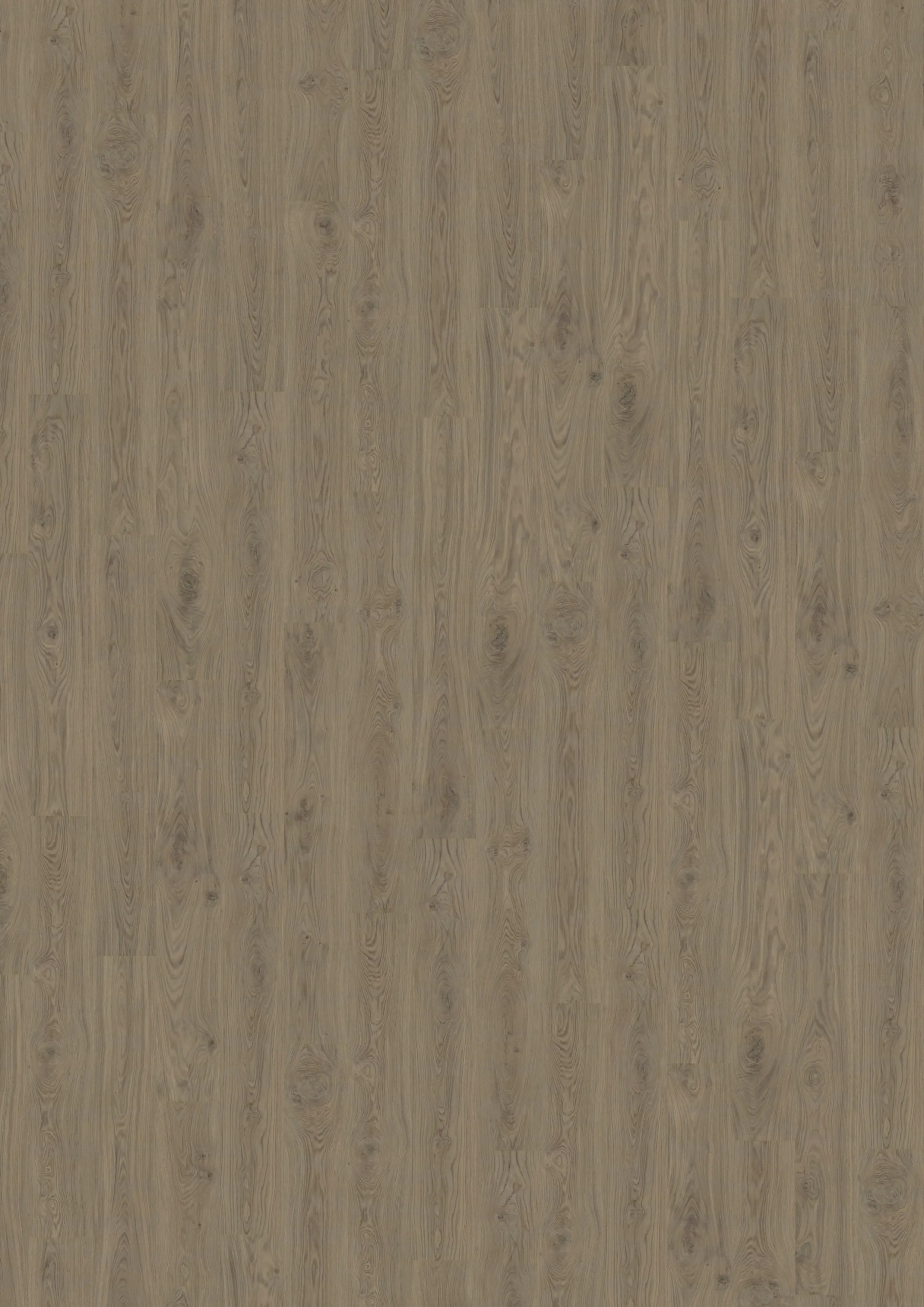 Decolife Vinylboden mit Trittschalldämmung Freestyle Acces Oak Copper