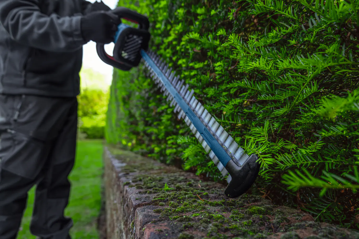 Bosch Professional Akku-Heckenschere GHE 18V-60 (II) Solo