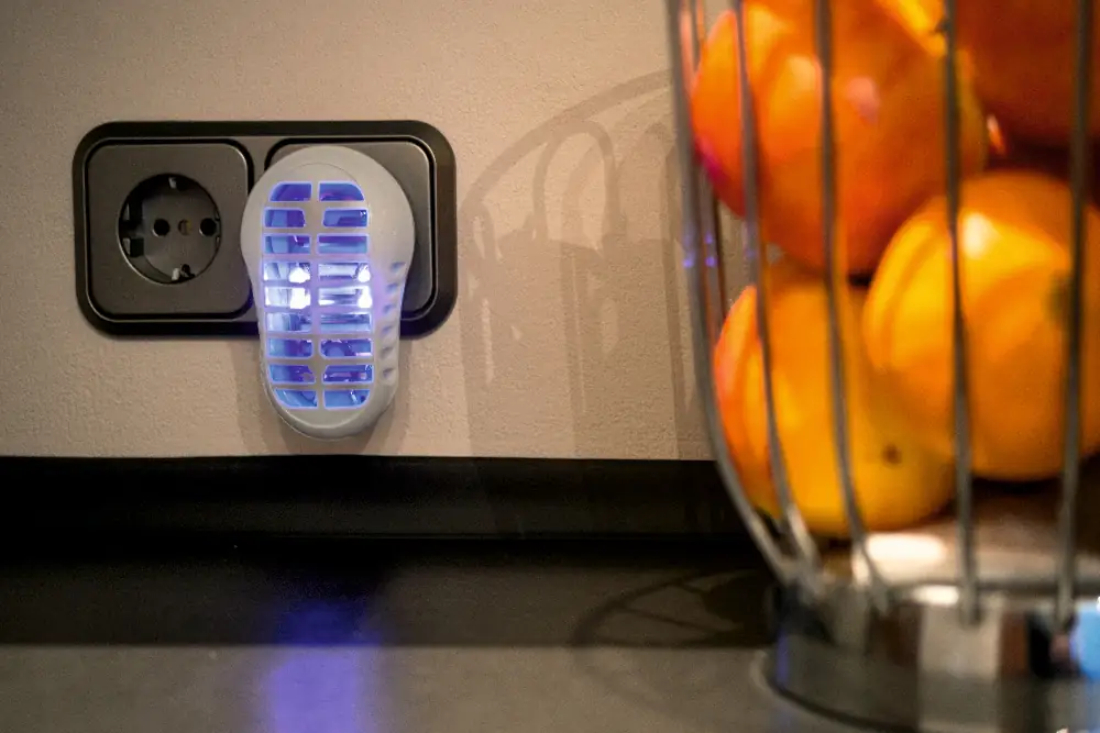 Gardigo Obstfliegen Vernichter