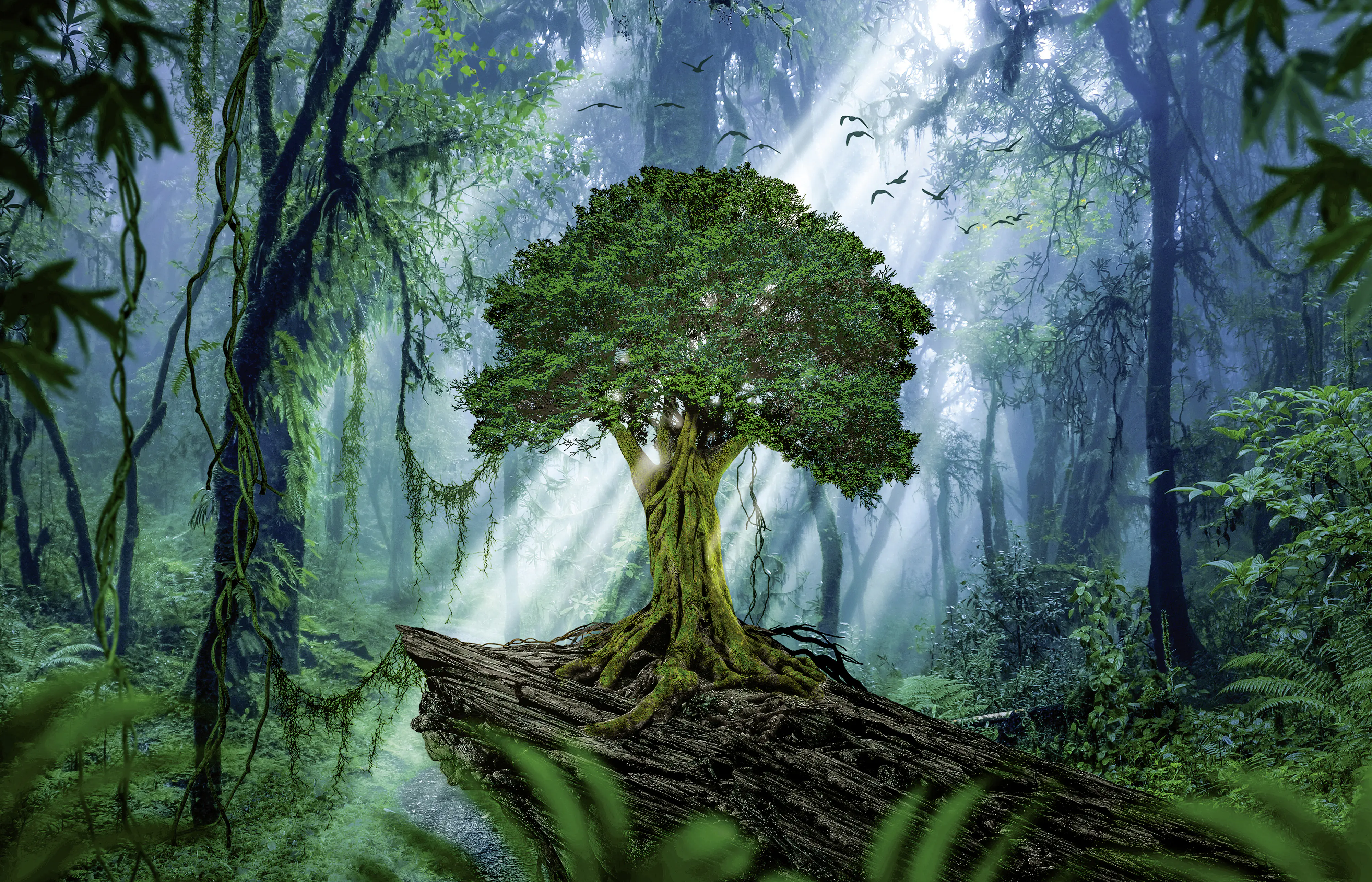 Keilrahmenbild großer Baum  140 x 90 cm