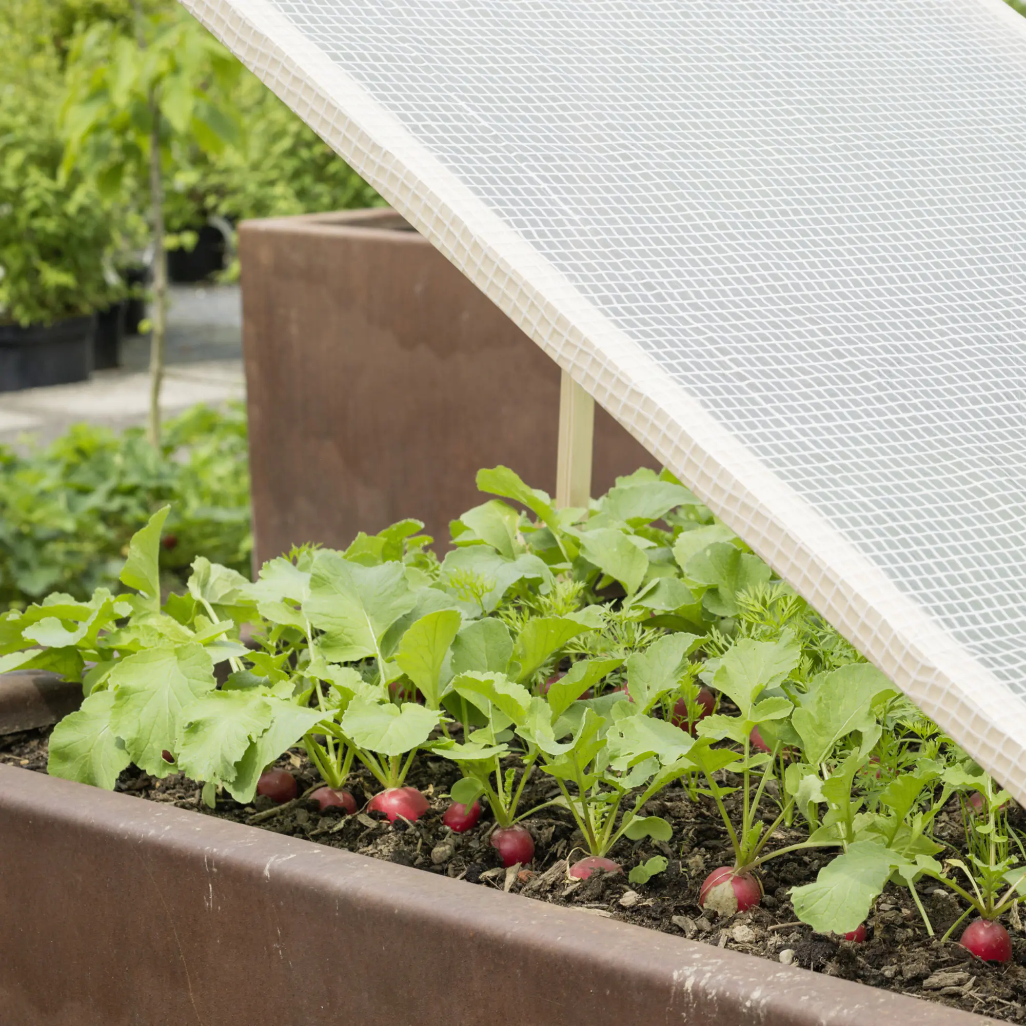 Windhager Gitterfolie 3 x 2 m