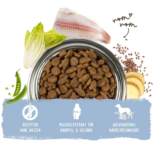 Bosch Trockenfutter für Hunde Adult 15 kg mit Fisch & Kartoffel Bosch Trockenfutter für Hunde Adult 15 kg mit Fisch & Kartoffel