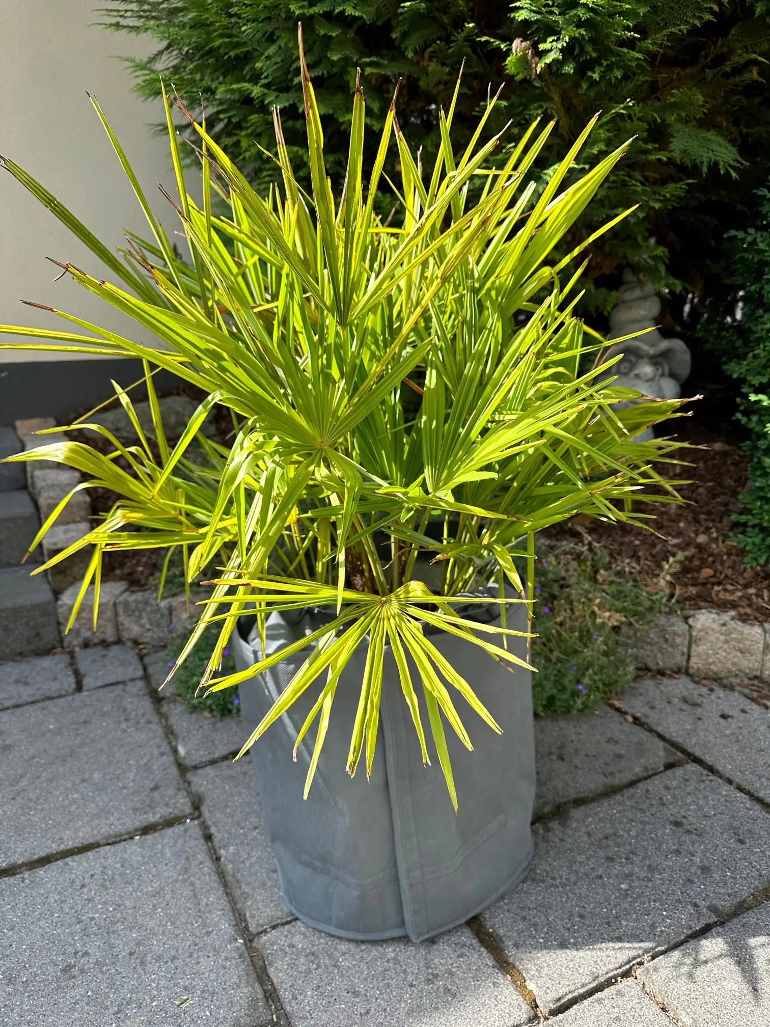 Kältetopfschutz Ø 50 cm x H. 70 cm grau