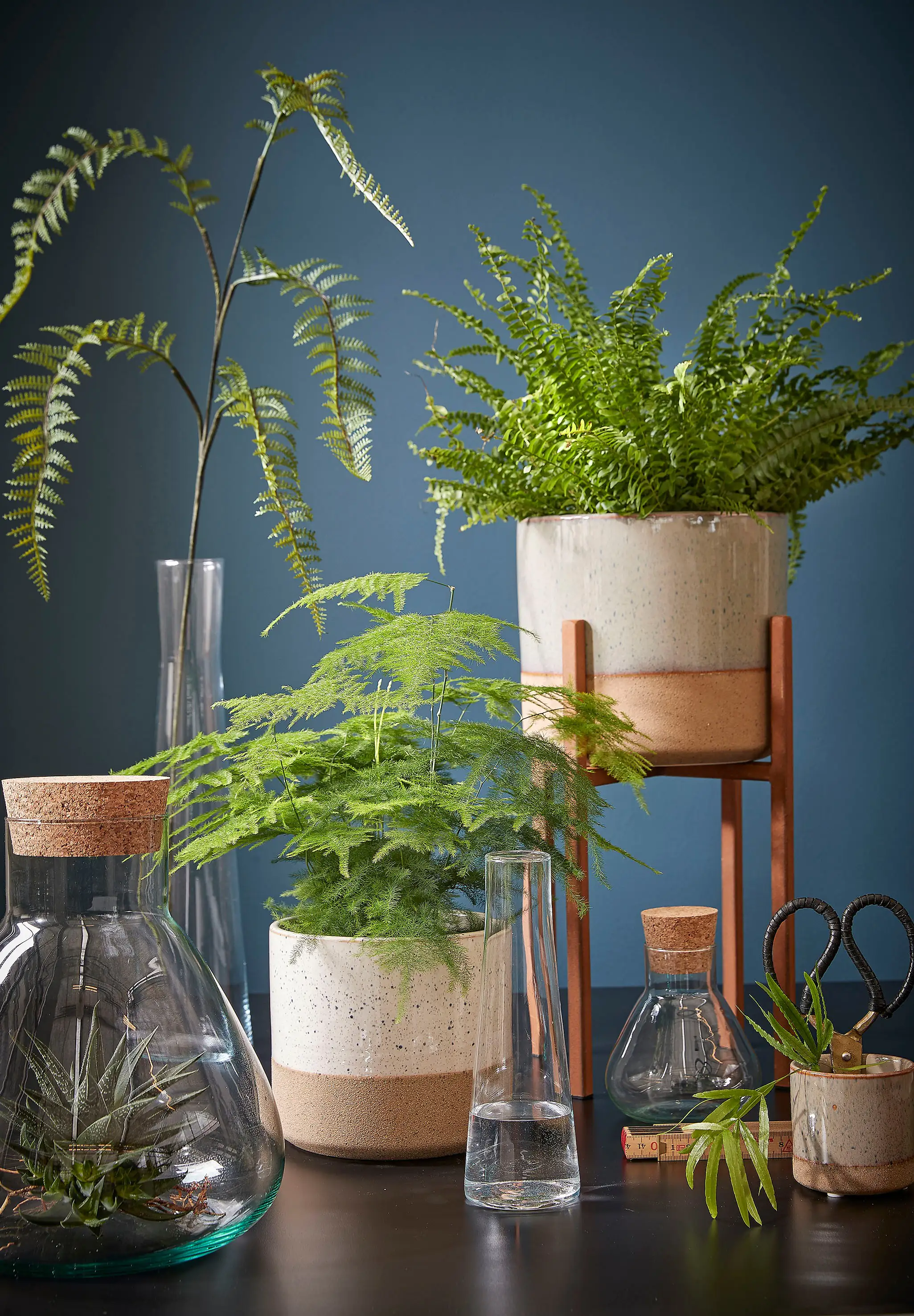 Mica Glasvase Ixia transparent, 21 x 7 cm