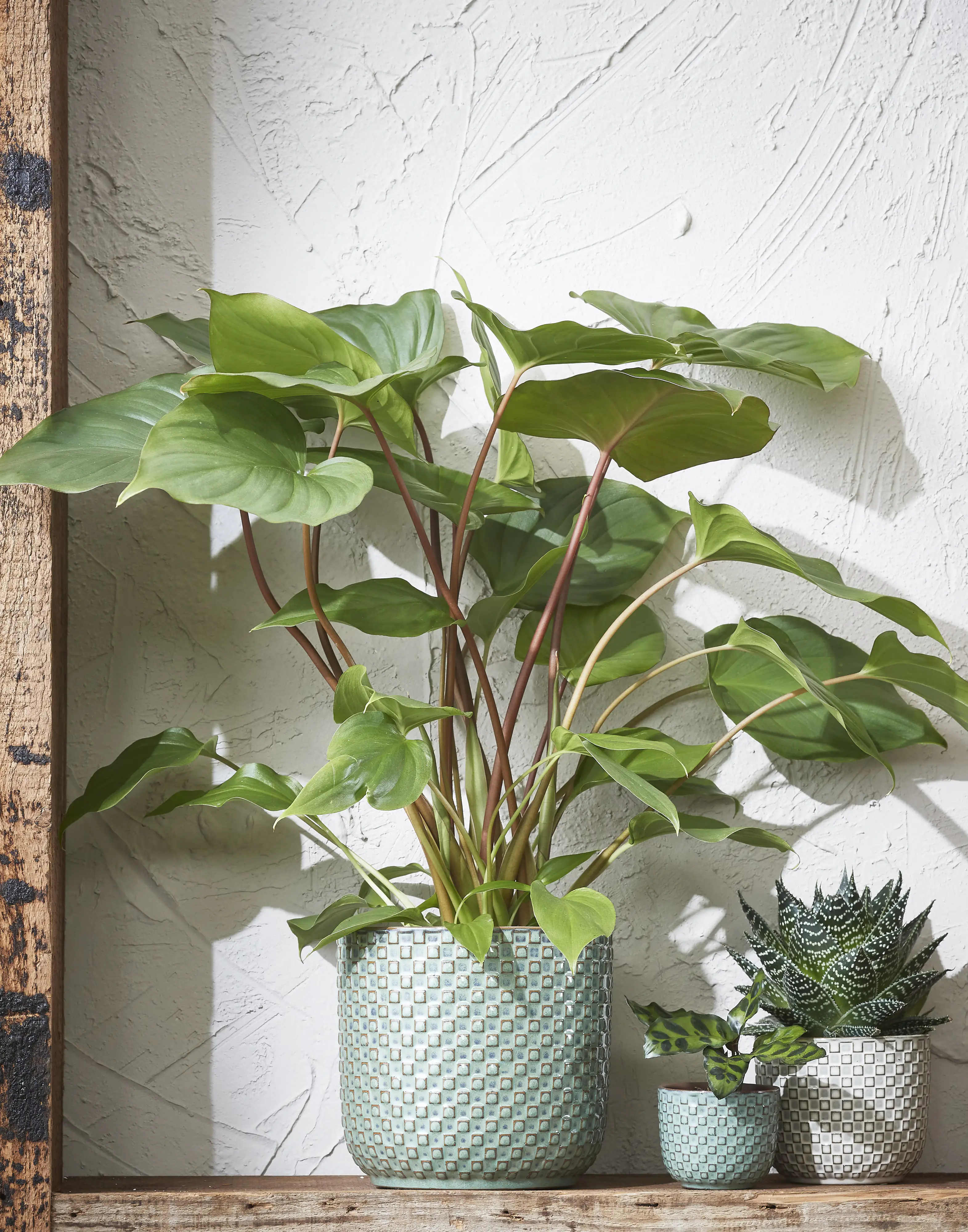 Mica Übertopf Keramik grün Ø 7,5 x 6,5 cm Daan