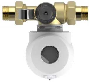 Aqmos Rückspülfilter mit Druckminderer und Manometer 25,4 mm (1")