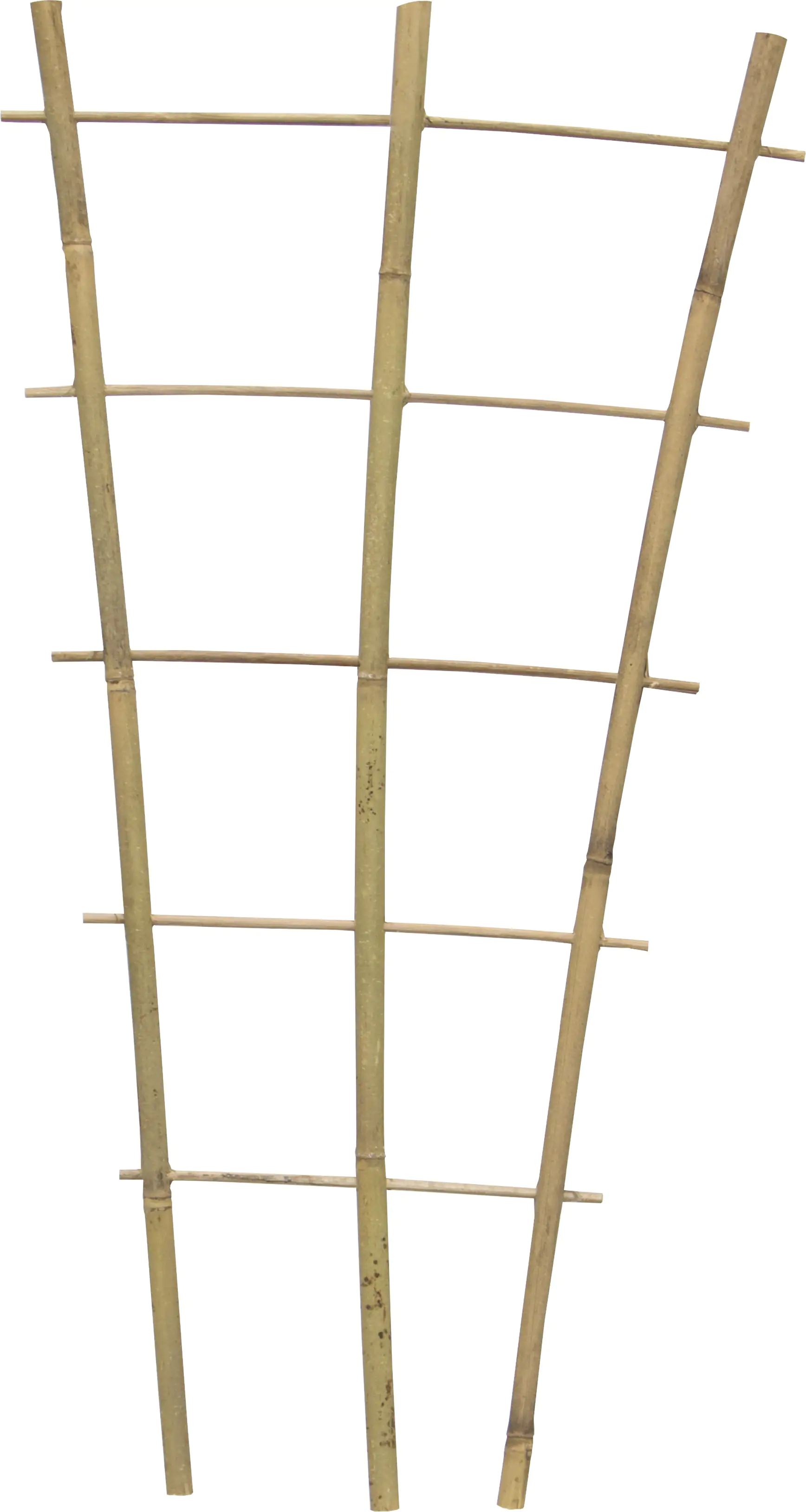 Siena Garden Rankgitter Bambus 60 x 28 x 12 cm