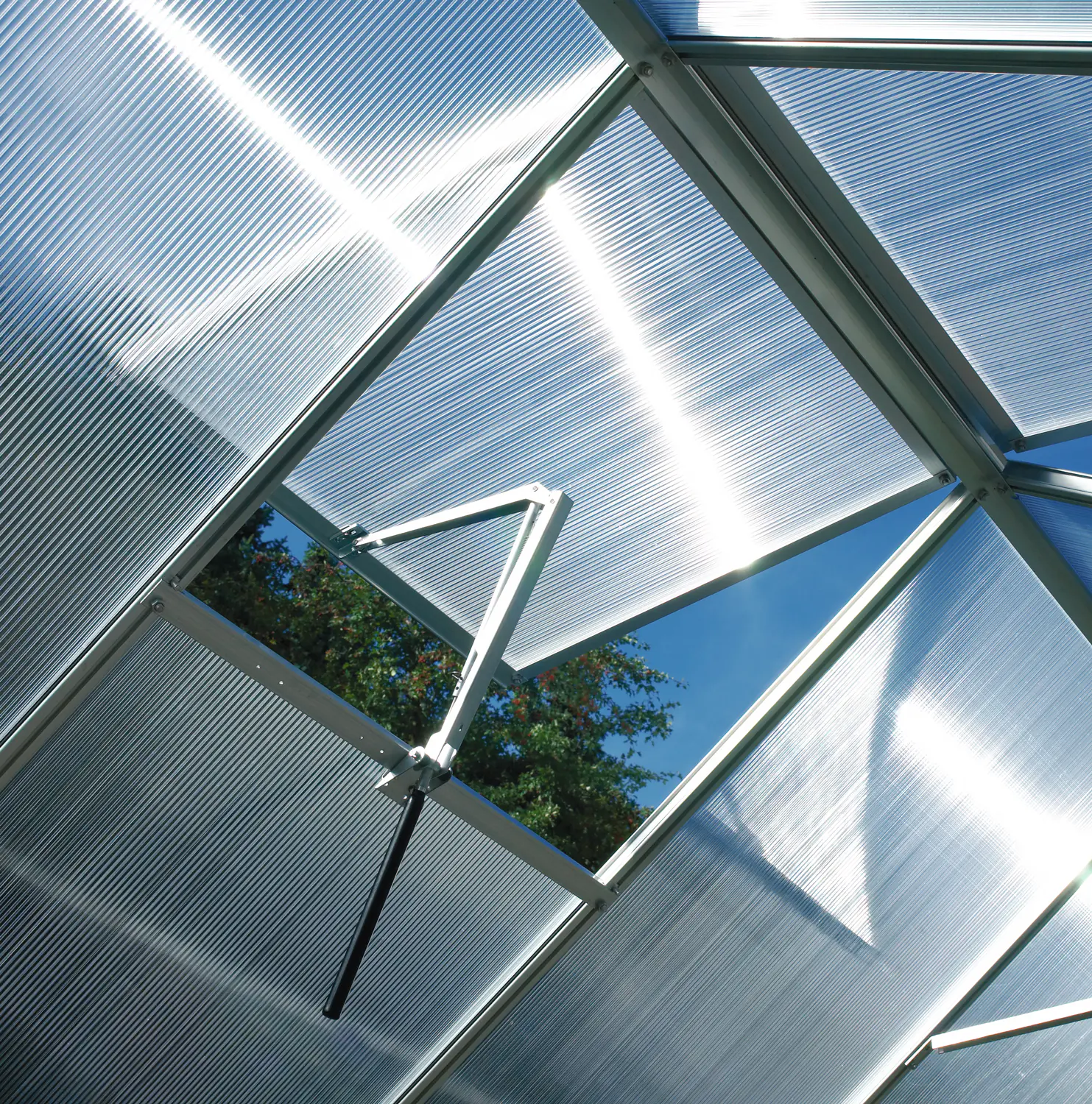 Vitavia Gewächshaus "Eris" 6200, schwarz, 6,2 m², 3 mm ESG