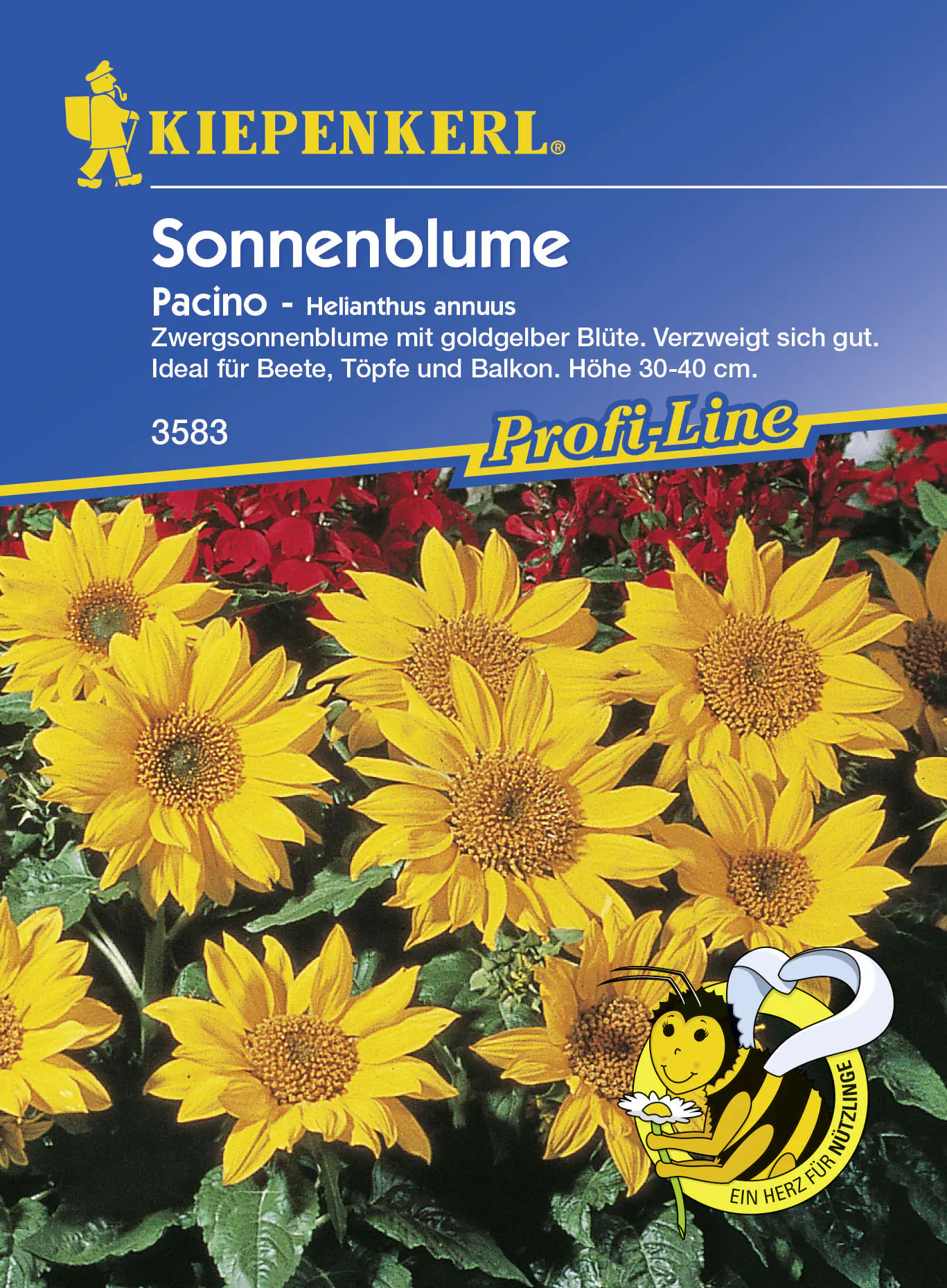 Kiepenkerl Sonnenblume Pacino Helianthus annuus, Inhalt: ca. 40 Pflanzen