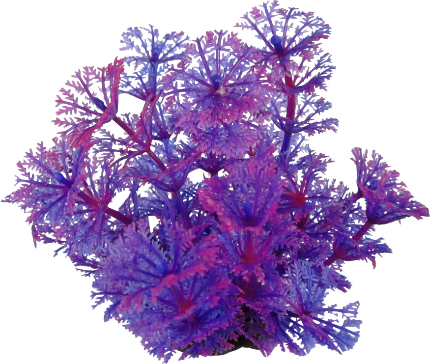 Orbit Aquapflanze Deluxe small Nr. 14 8 - 12 cm