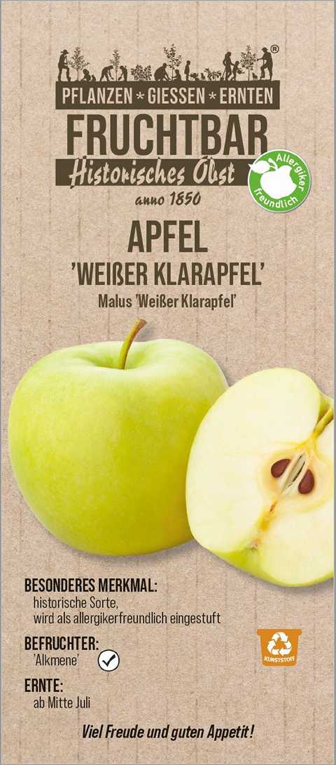 Obstbäume günstig online kaufen Globus Baumarkt