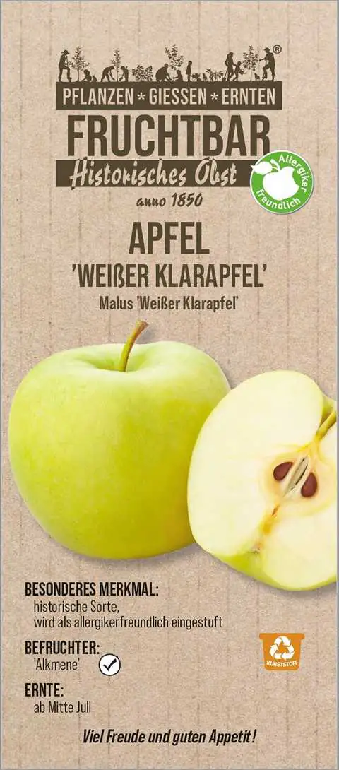 Stadt Ernte Bio Obstbaum Apfel Weißer Klarapfel H 150 cm 29 cm Topf Stadt Ernte Bio Obstbaum Apfel Weißer Klarapfel H 150 cm 29 cm Topf