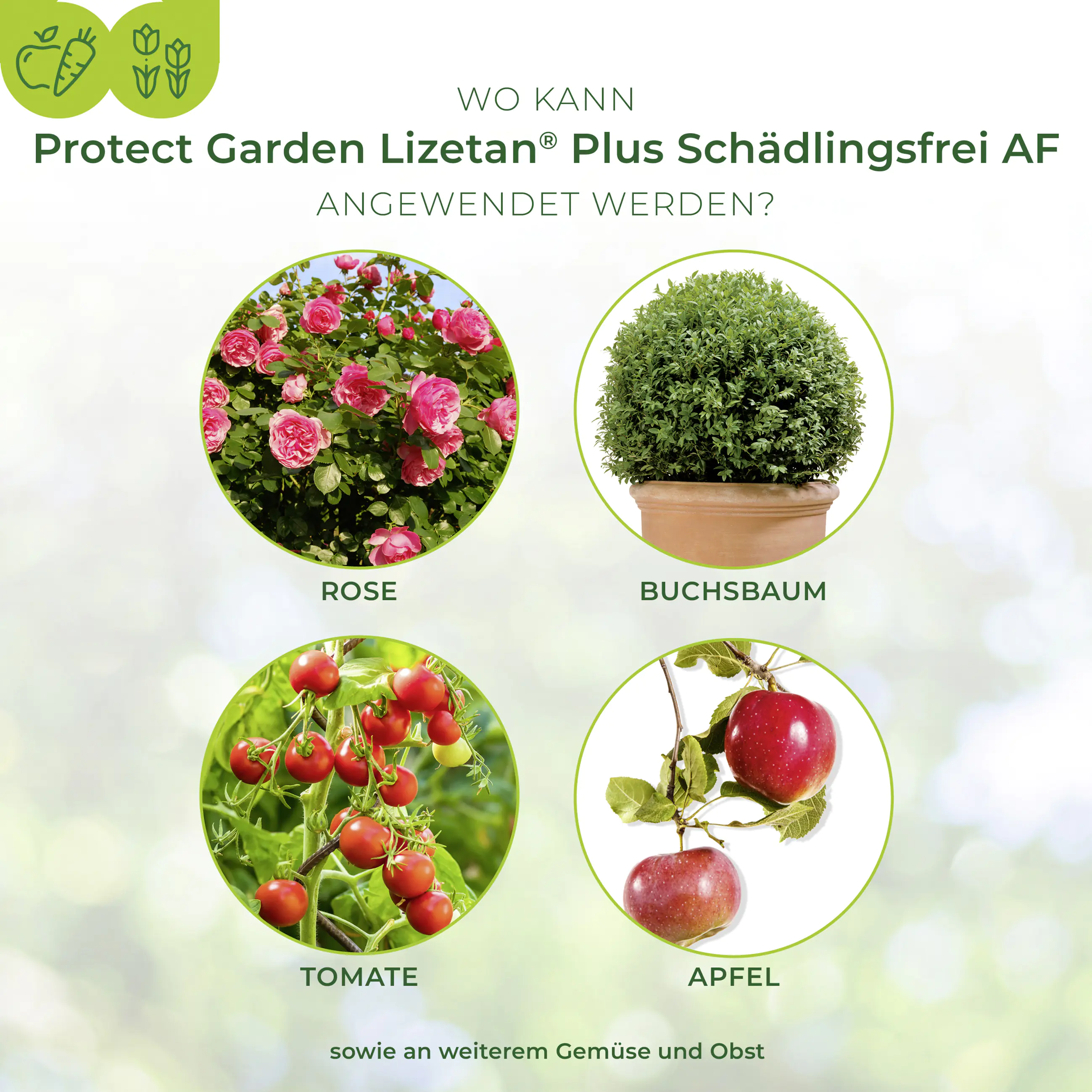 Protect Garden Lizetan Plus Schädlingsfrei AF 3 l