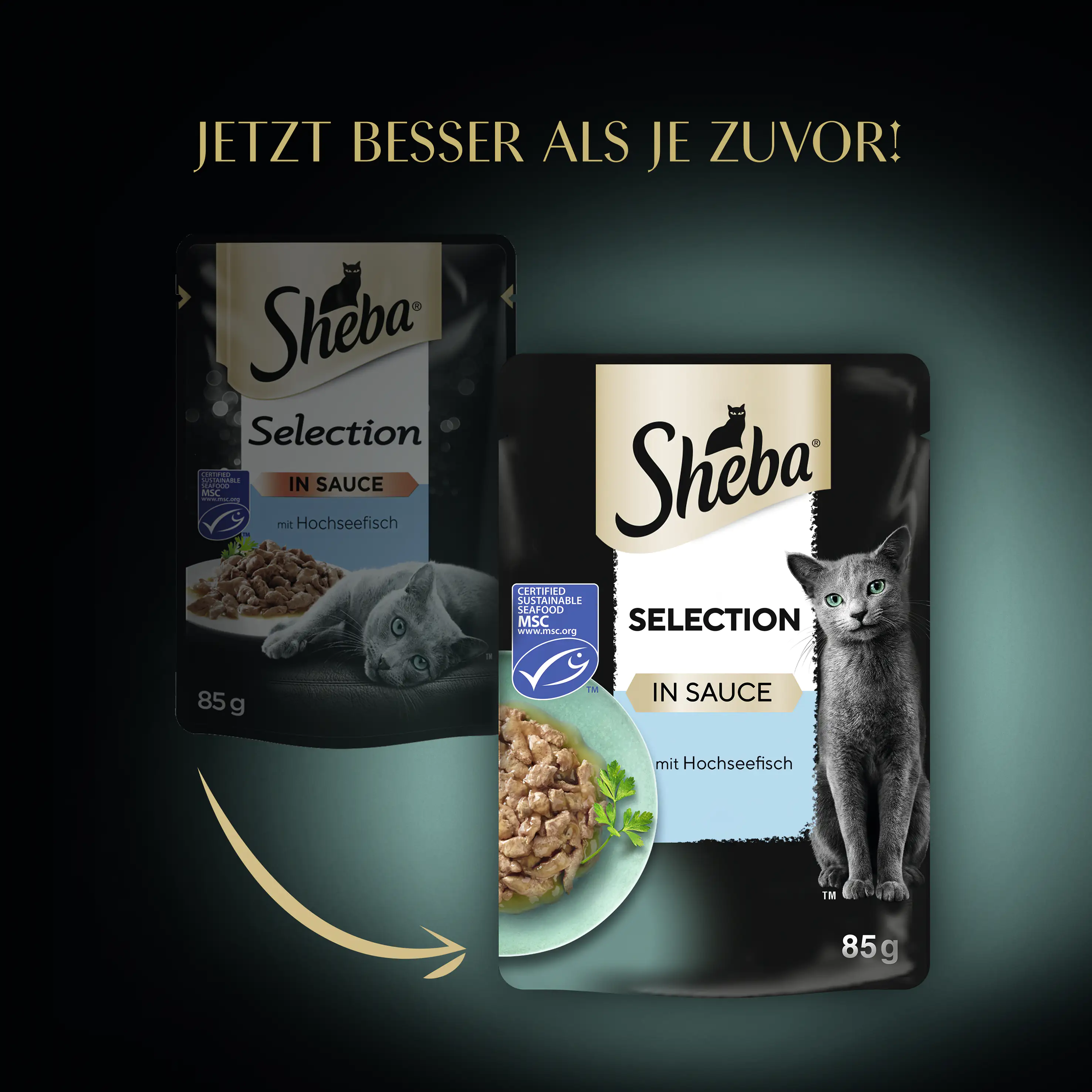 Sheba Katzennassfutter Thunfisch in Soße 85 g Sheba Cuisine 85 g Thunfisch Sheba Katzennassfutter Thunfisch in Soße 85 g Sheba Cuisine 85 g Thunfisch