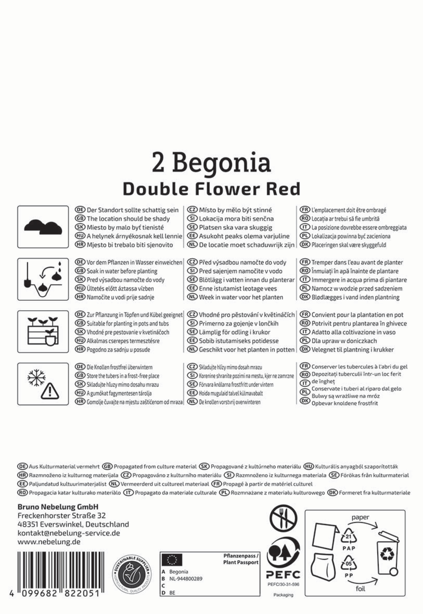 Kiepenkerl Frühjahrsblumenzwiebel Knollenbegonie Rot 2 Stück