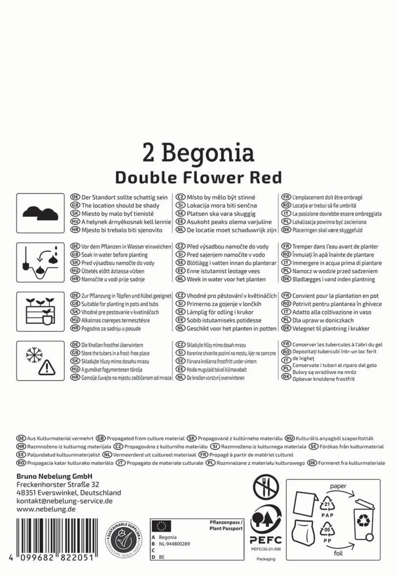 Kiepenkerl Frühjahrsblumenzwiebel Knollenbegonie Rot 2 Stück