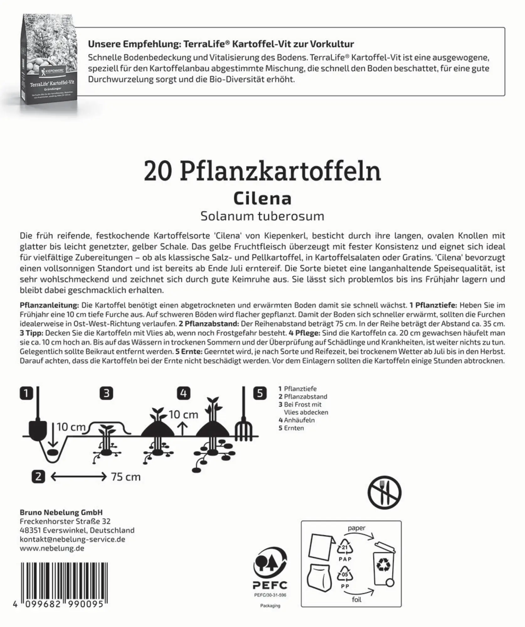 Kiepenkerl Pflanzkartoffel Cilena 20 Stück