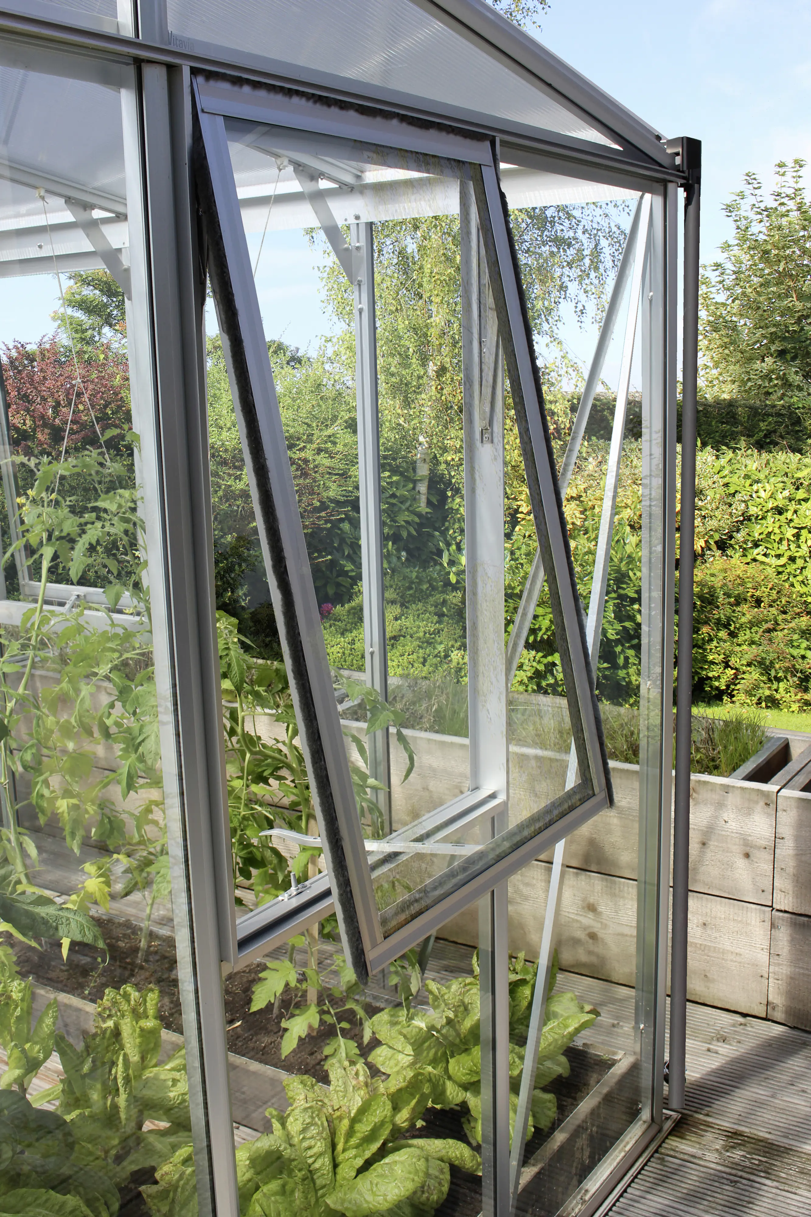 Vitavia Seitenfenster H zu Gewächshaus Helena Aphrodite aluminium