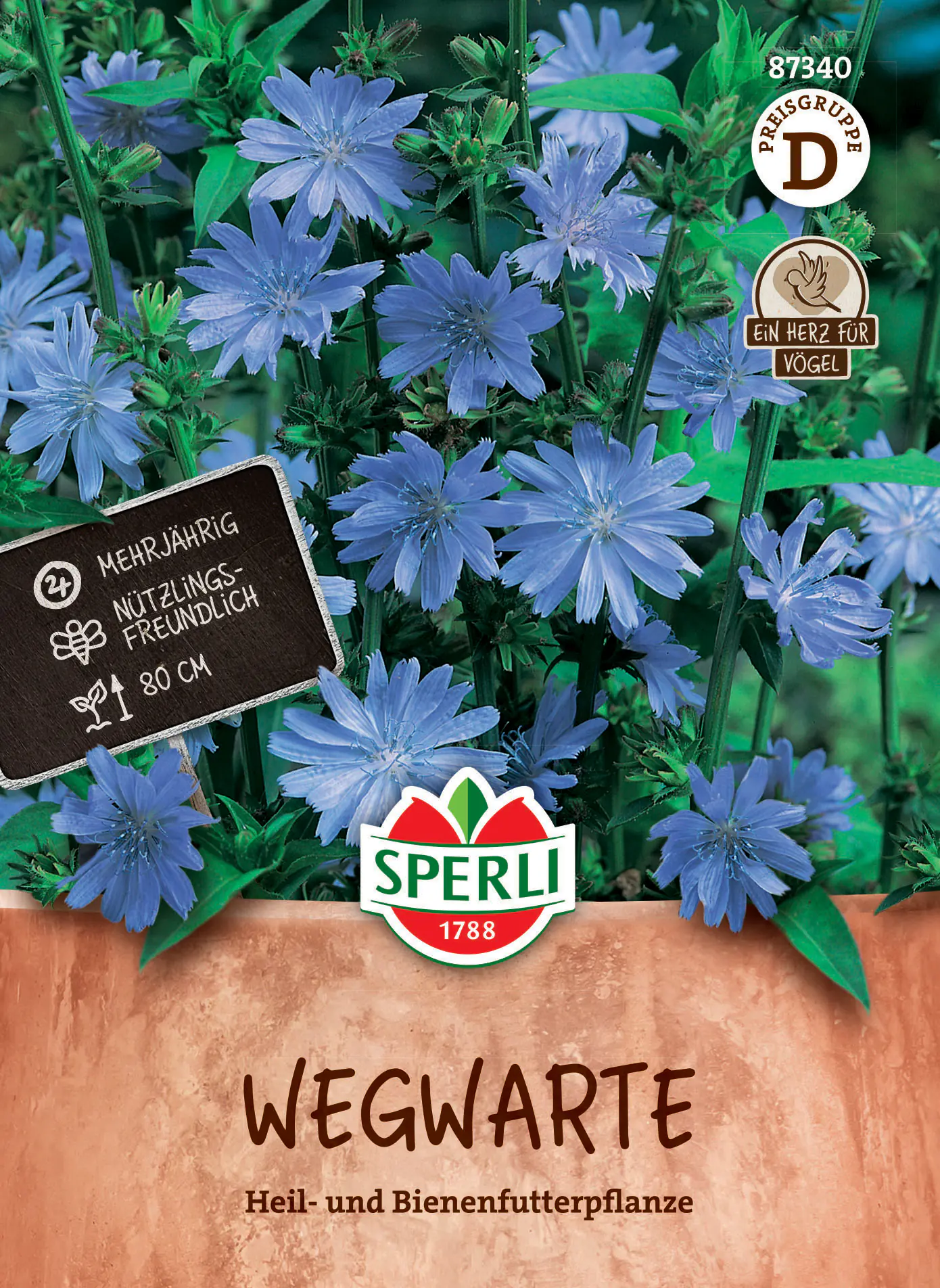 Sperli Saatgut Wegwartesamen für ca. 60 Pflanzen