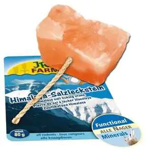 JR Salzleckstein Region Himalaya