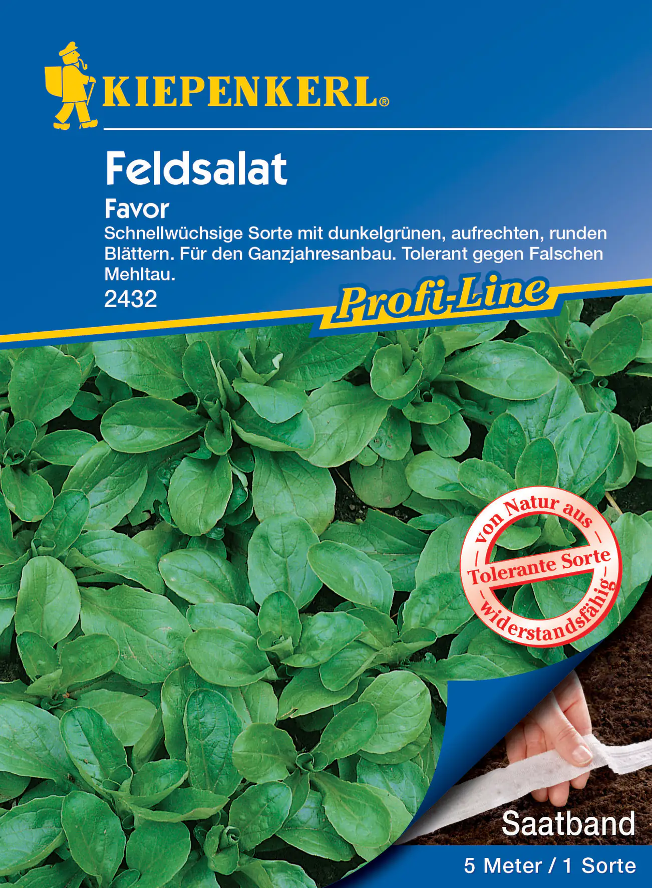 Kiepenkerl Feldsalat Favor, Saatband