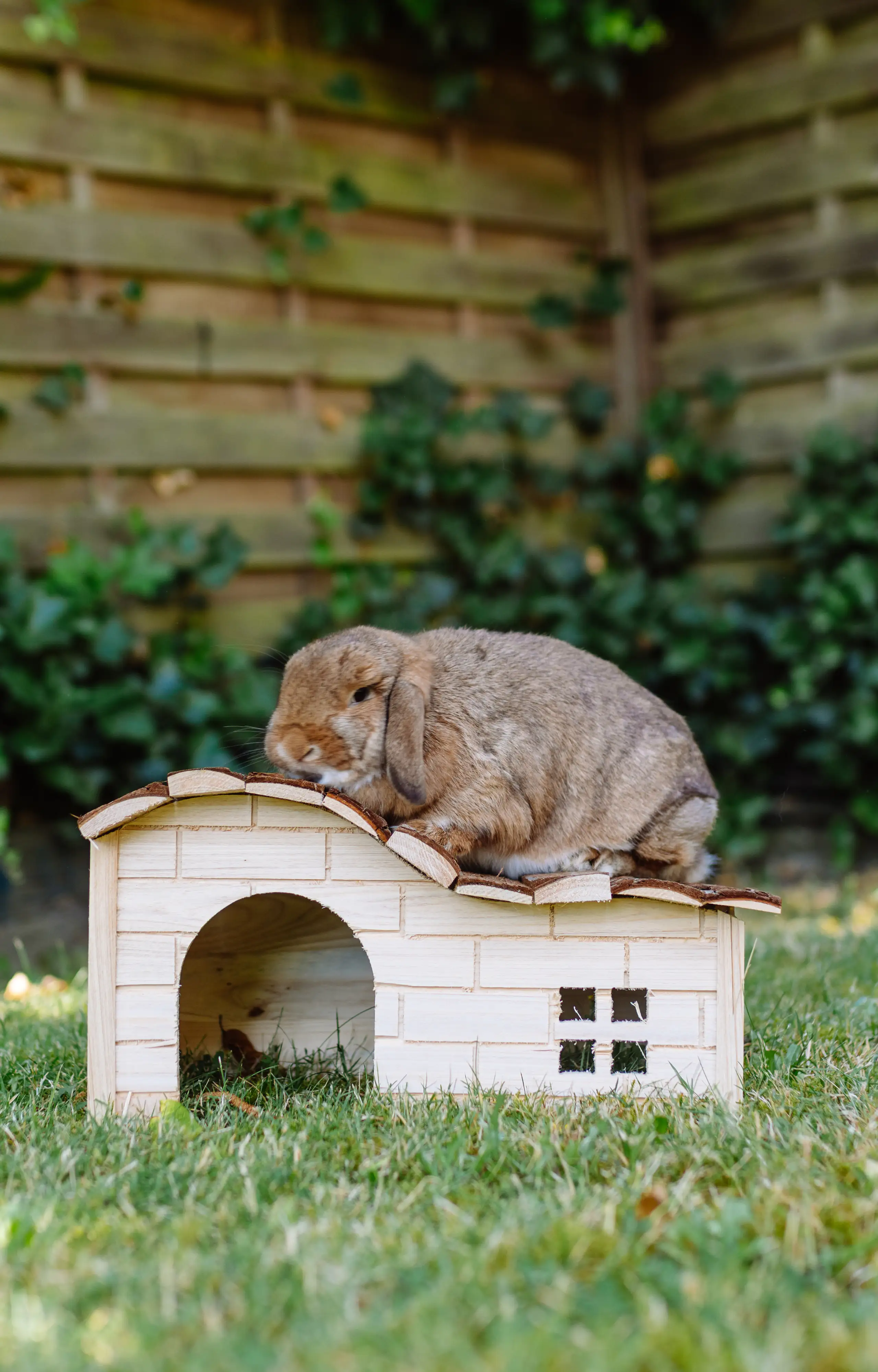 Nobby Woodland Nagerhaus Jessi 42,5 x 27 x 22 cm